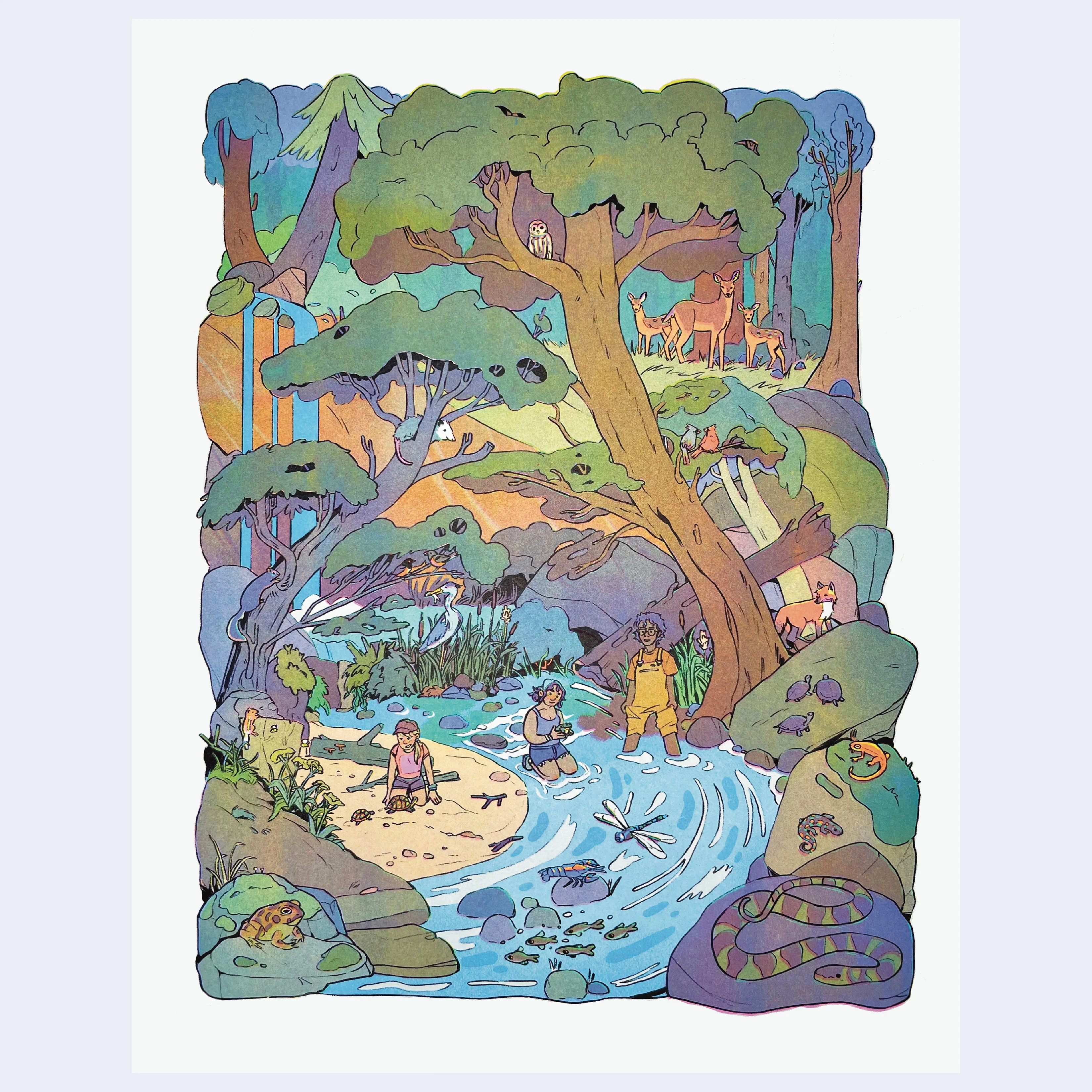 ANIMALS - #129 - Emma Matthewson - "Animals of the Shenandoah Valley" (Framed)