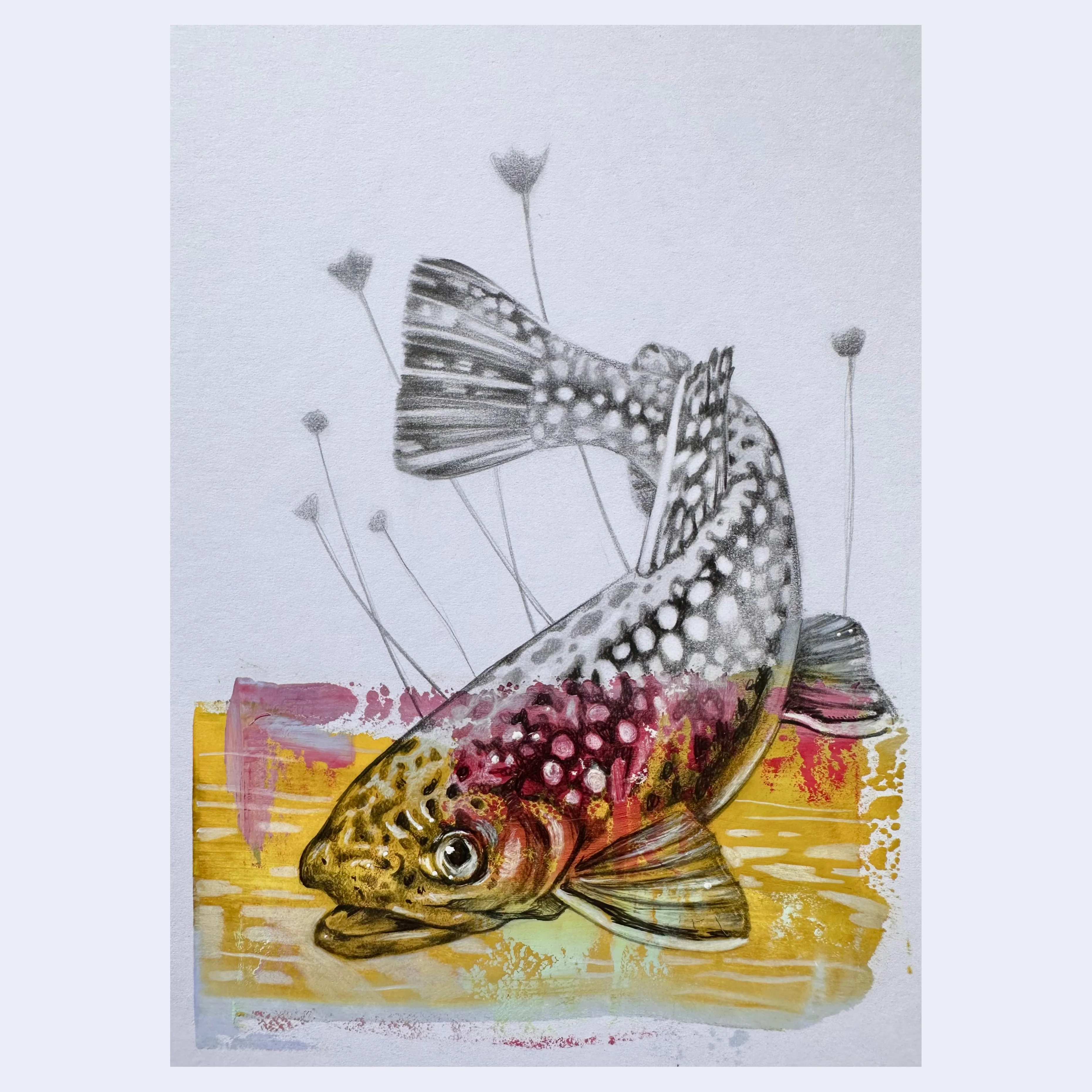 ANIMALS - #147 - Jenna Gibson - "Alpine Native"