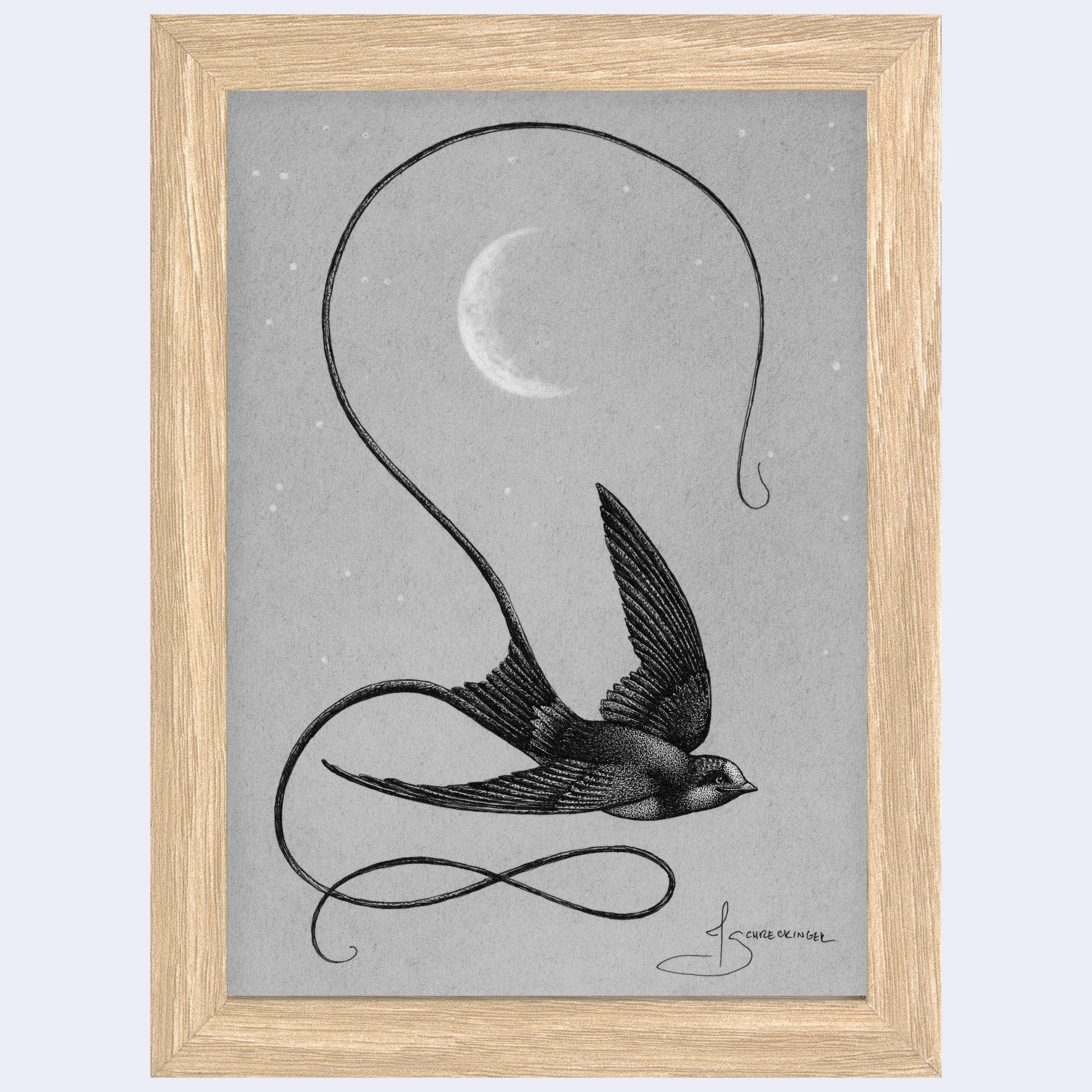 ANIMALS - #15 - Juliet Schreckinger - "A Swallow in the Moonlight"
