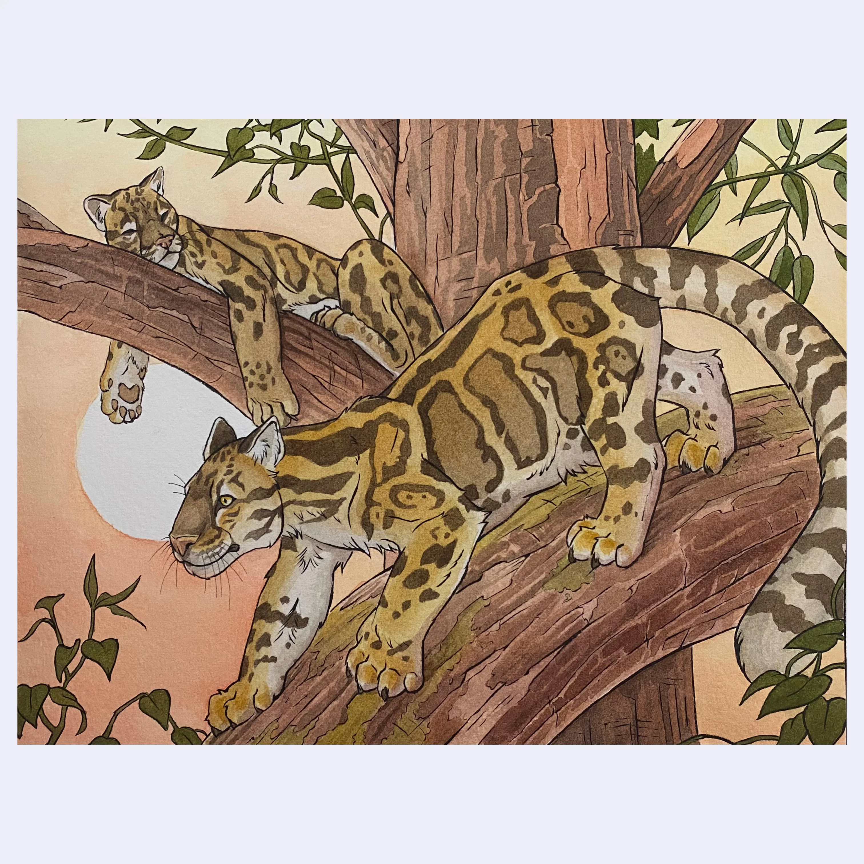ANIMALS - #95 - Monsterpaintz - Untitled