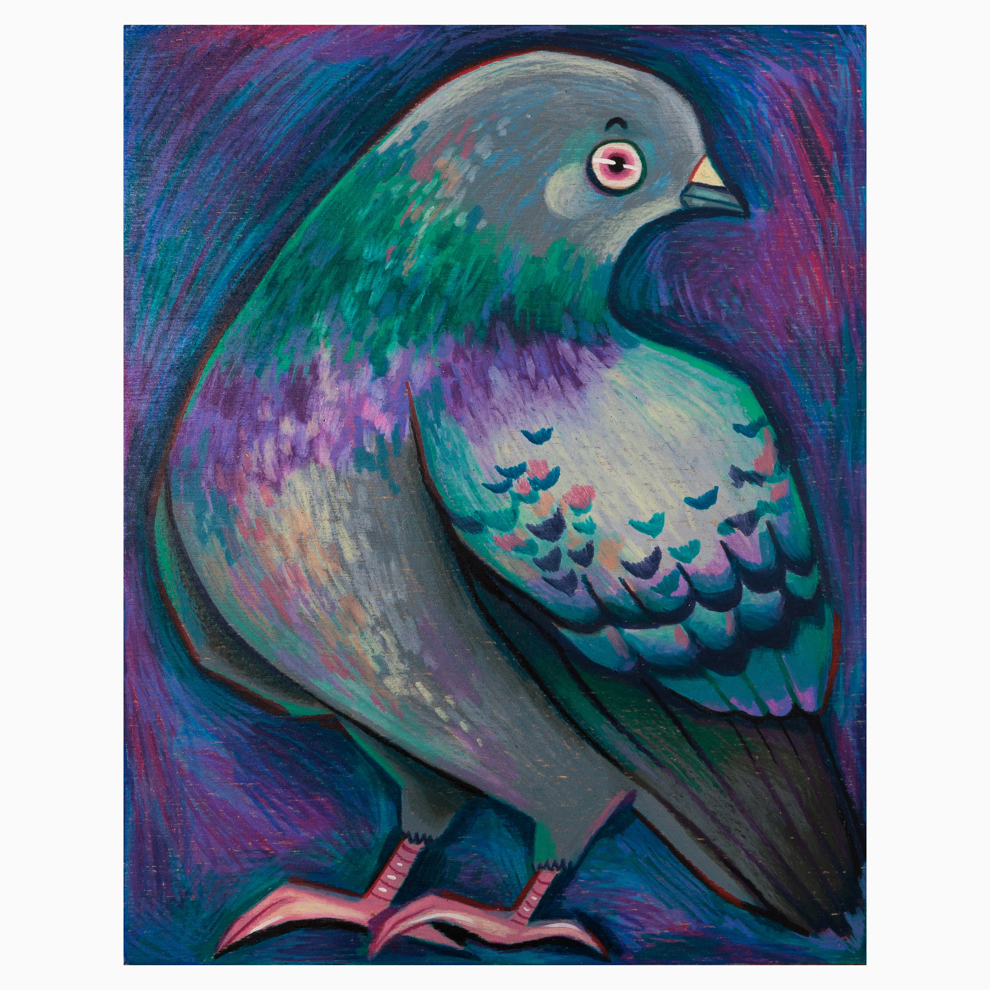 ANIMALS - #58 - Somewhere in June - "Pigeon Portrait"