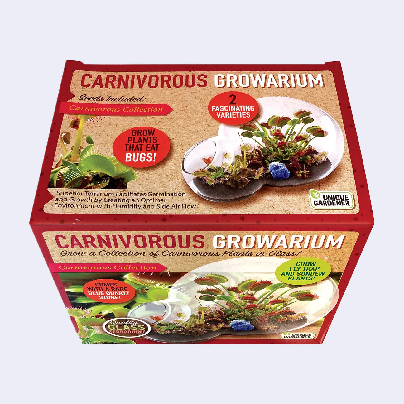 Carnivorous Growarium Glass Terrarium - Image 3