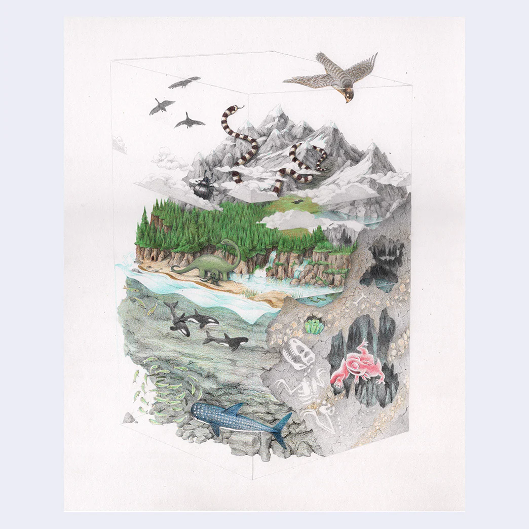 Zines x Exhibitions - #34 - Cassia Lupo - "Earth-Slice Doolally"