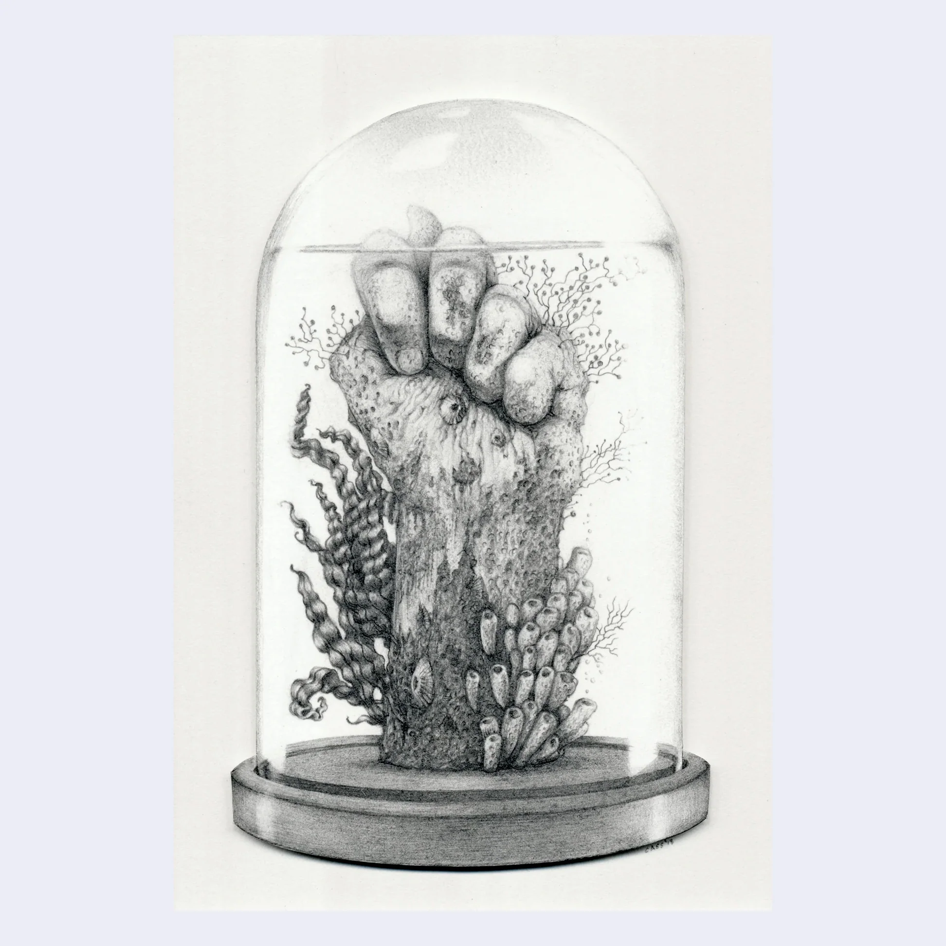 Cassia Lupo - "Figa" Art Print