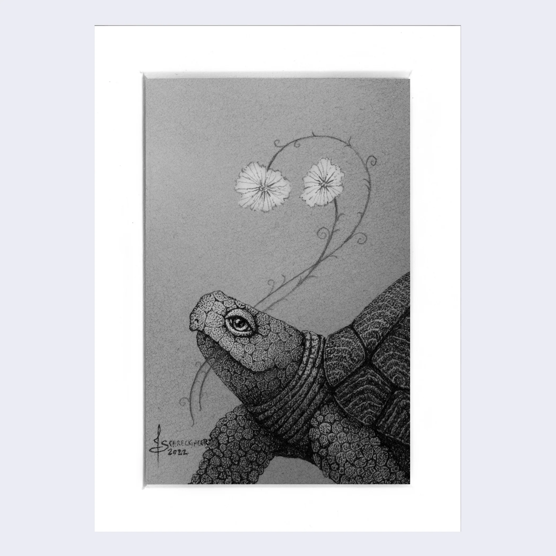 Deep Forest 2022 - Juliet Schreckinger - "Leon and his Flowers"