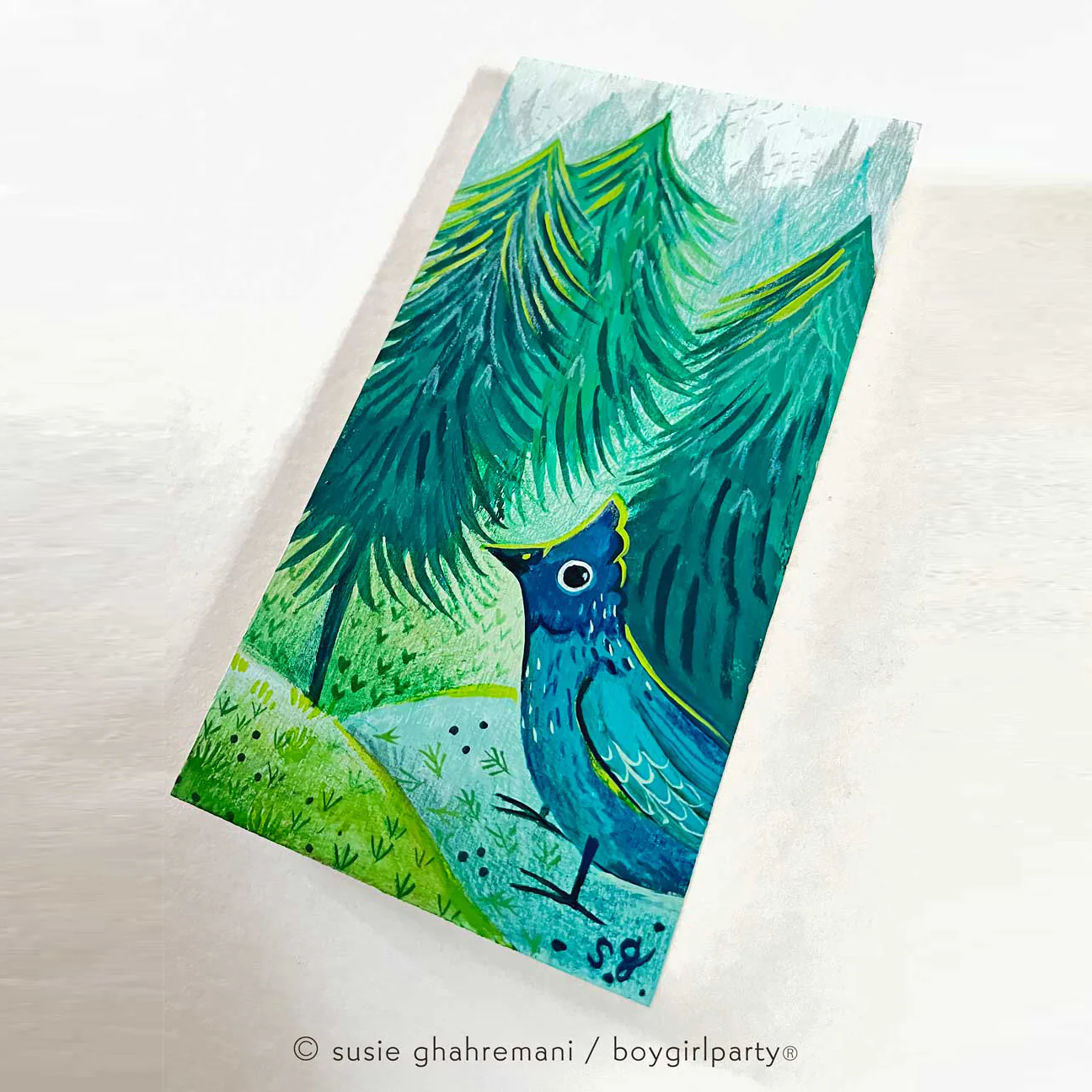Deep Forest 2022 - Susie Ghahremani - "Sequoia Steller's" - Image 2