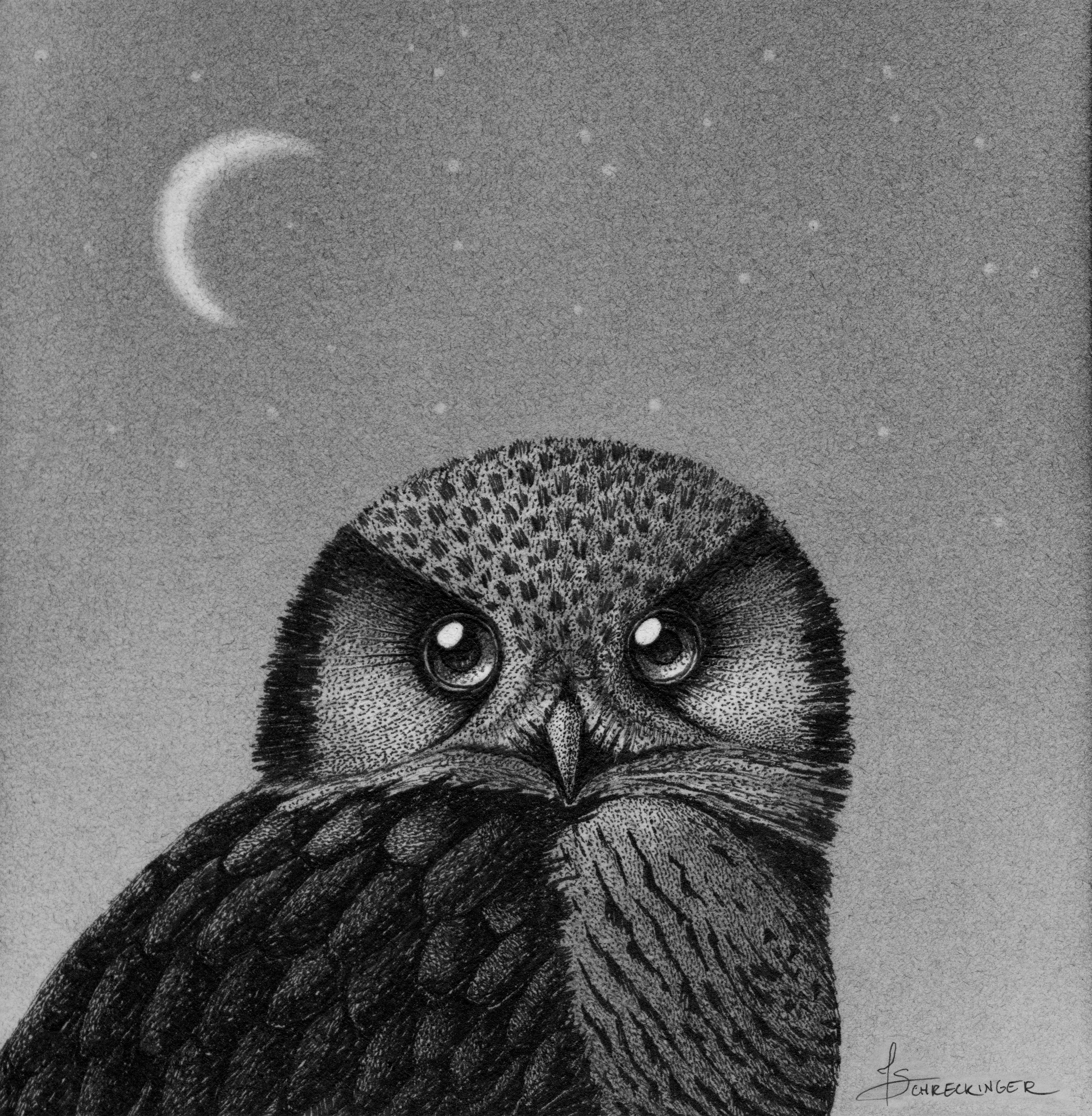 Deep Forest 2024 - Juliet Schreckinger - "Hawthorne's Moon"