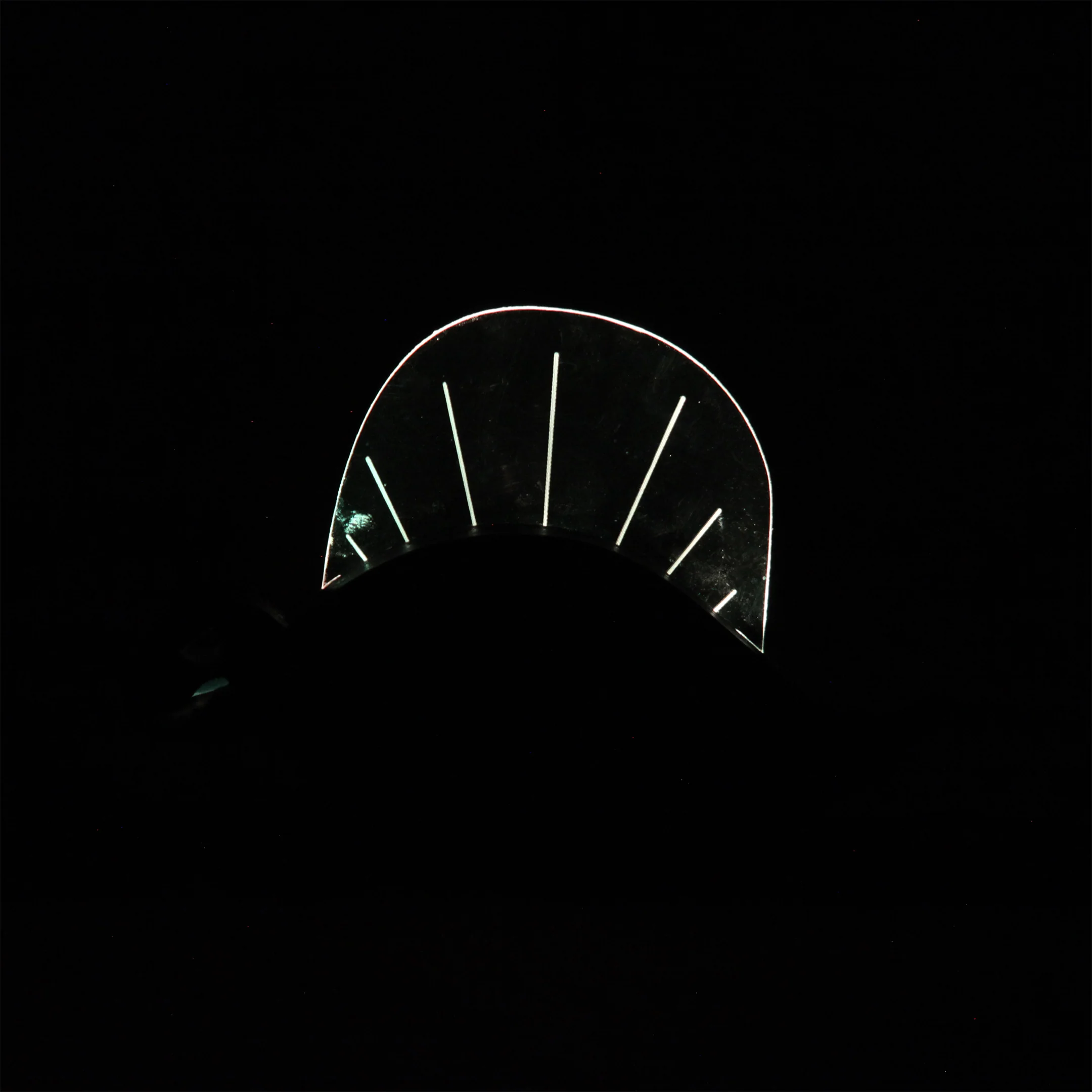Dino Show 2024 - Lap Ngo - "Dimetrodon Night Light" - Image 5