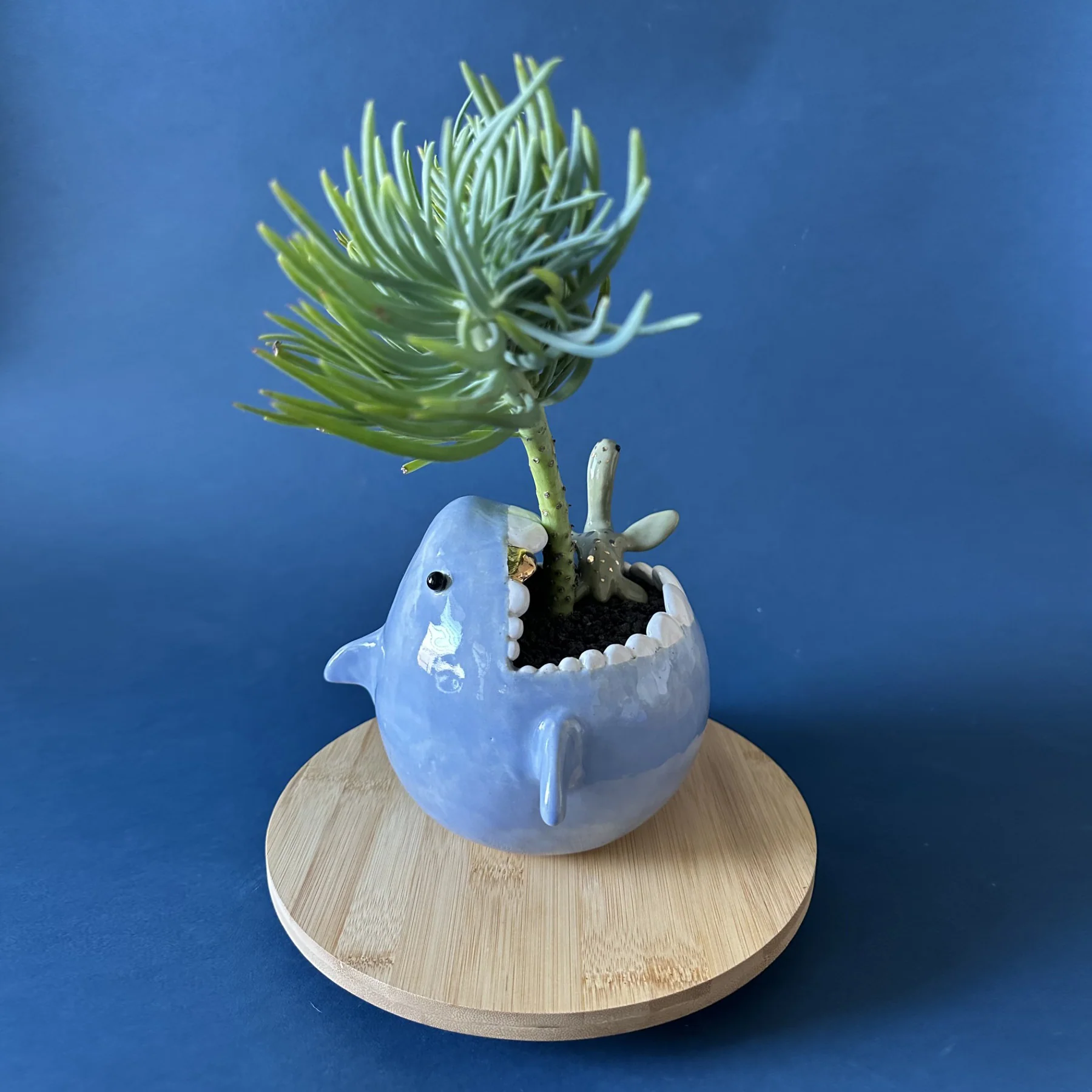 Dino Show 2025 - Clai Ceramics by Connie Lai - "Snack Time In The Prehistoric Sea" (Megalodon) - Image 2