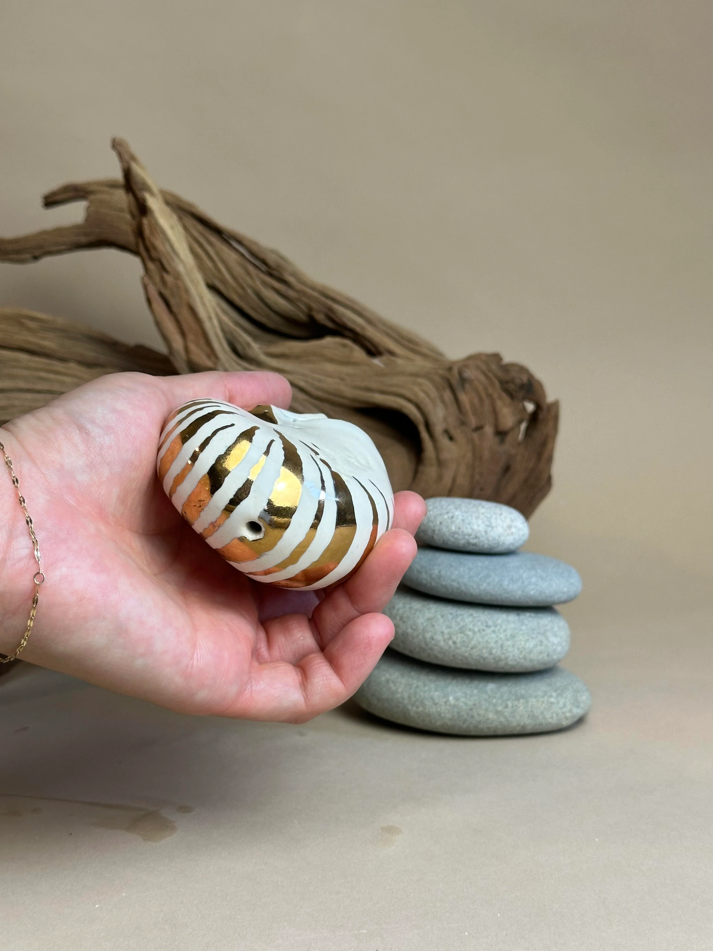Dino Show 2025 - Clai Ceramics by Connie Lai - "Time Traveler" Nautilus - Image 3