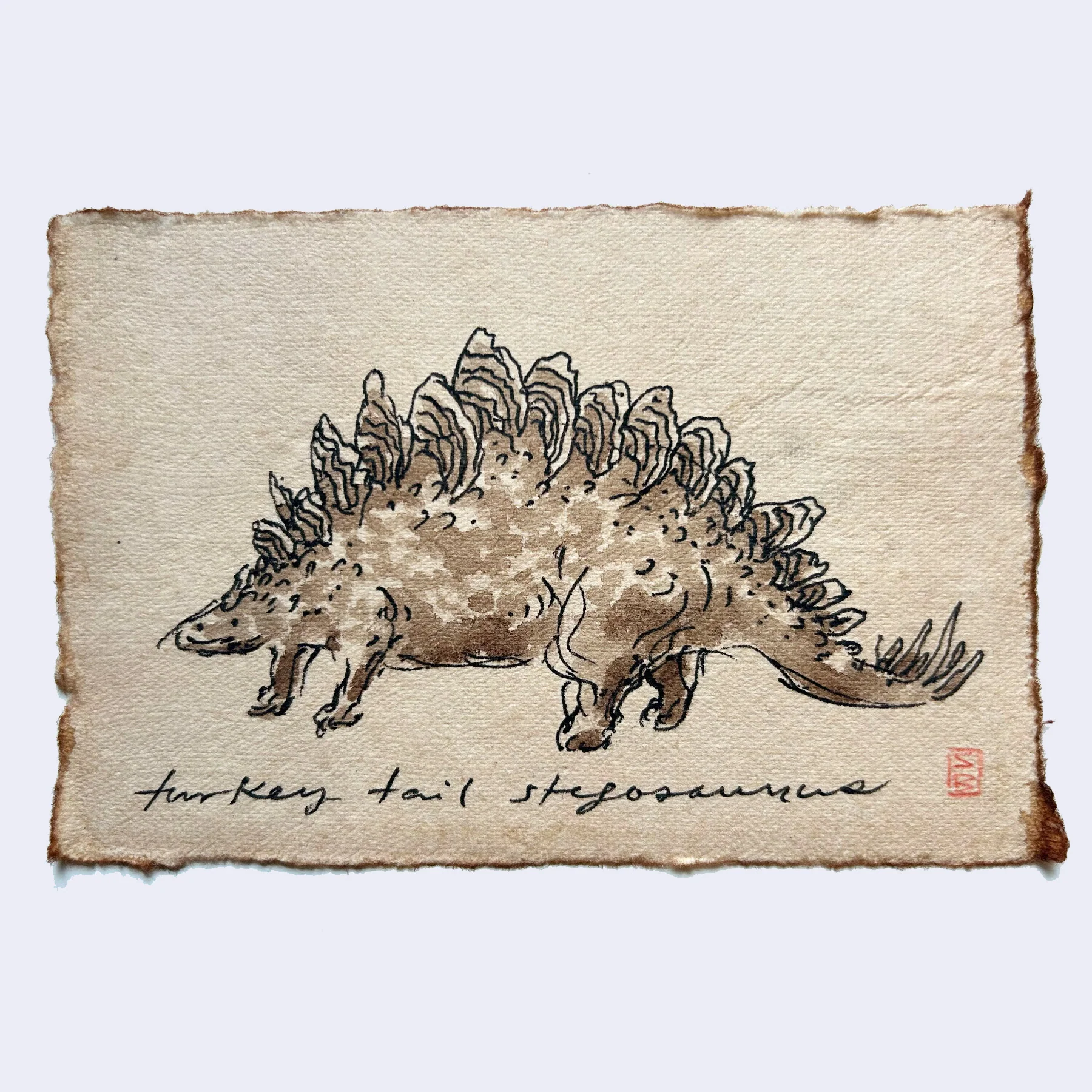 Dino Show 2025 - Stasia Burrington - "Turkey Tail Stegosaurus"