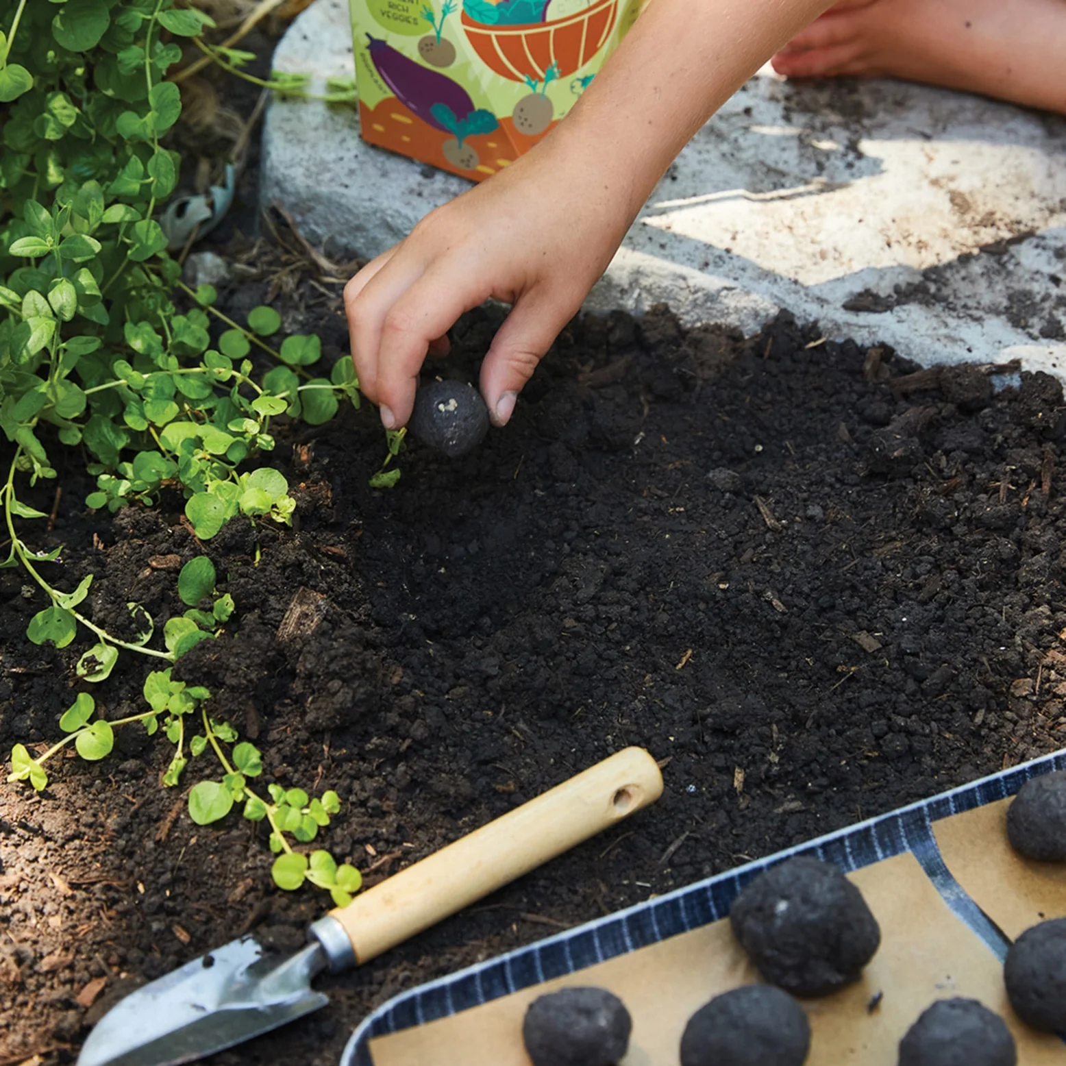 DIY Seed Ball Kit - Wildflower Garden - Image 3