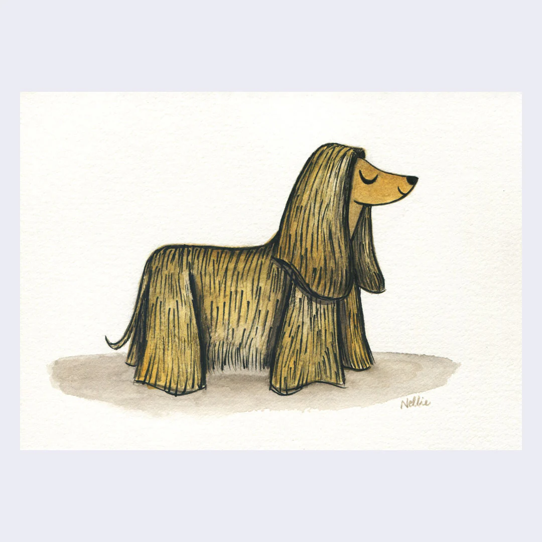 Doggo Show 2023 - Nellie Le - “Hair Goals”