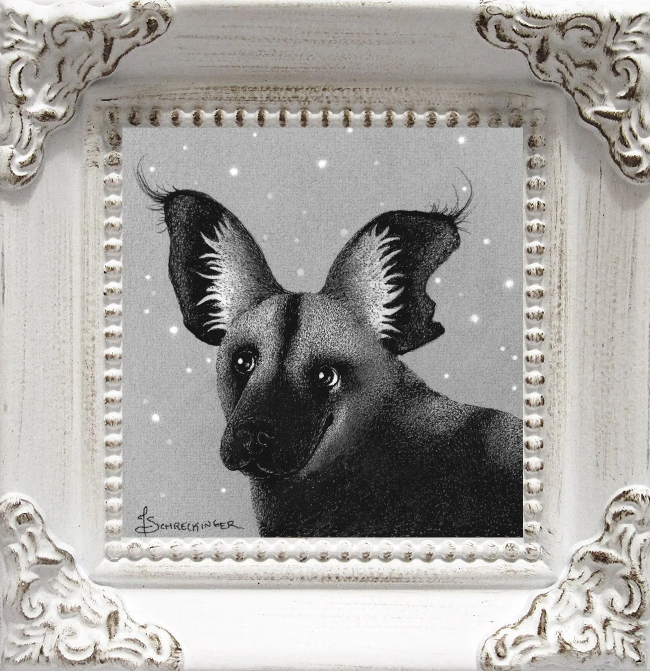 Doggo Show 2024 - Juliet Schreckinger - “Wild One”