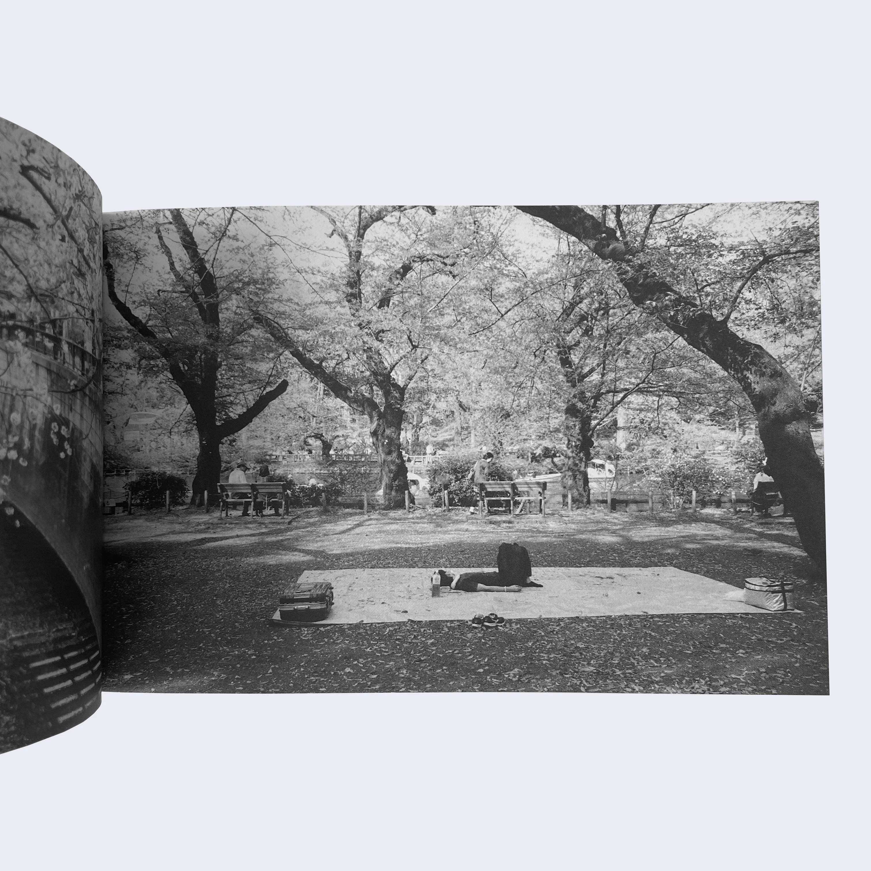 Eric Nakamura - Whatever Falls in Between 4 - Photo Zine - Image 3