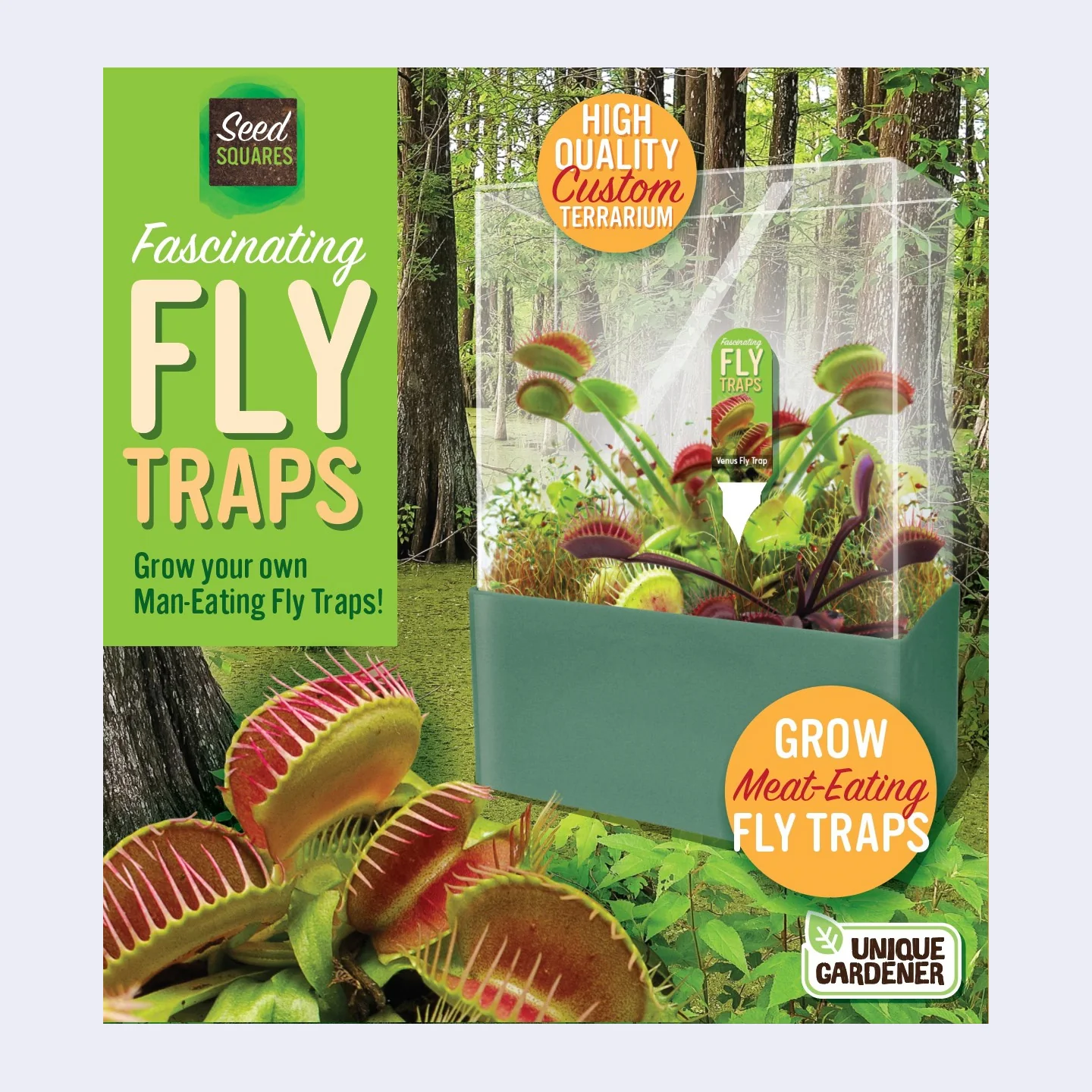 Fascinating Fly Traps Terrarium Kit