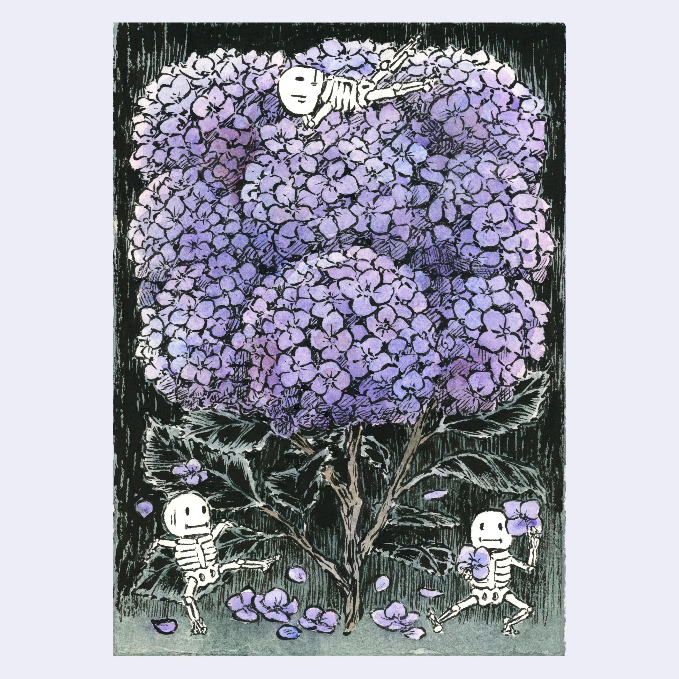 Gatherings - #17 - Kelly Yamagishi - "Hydrangea"