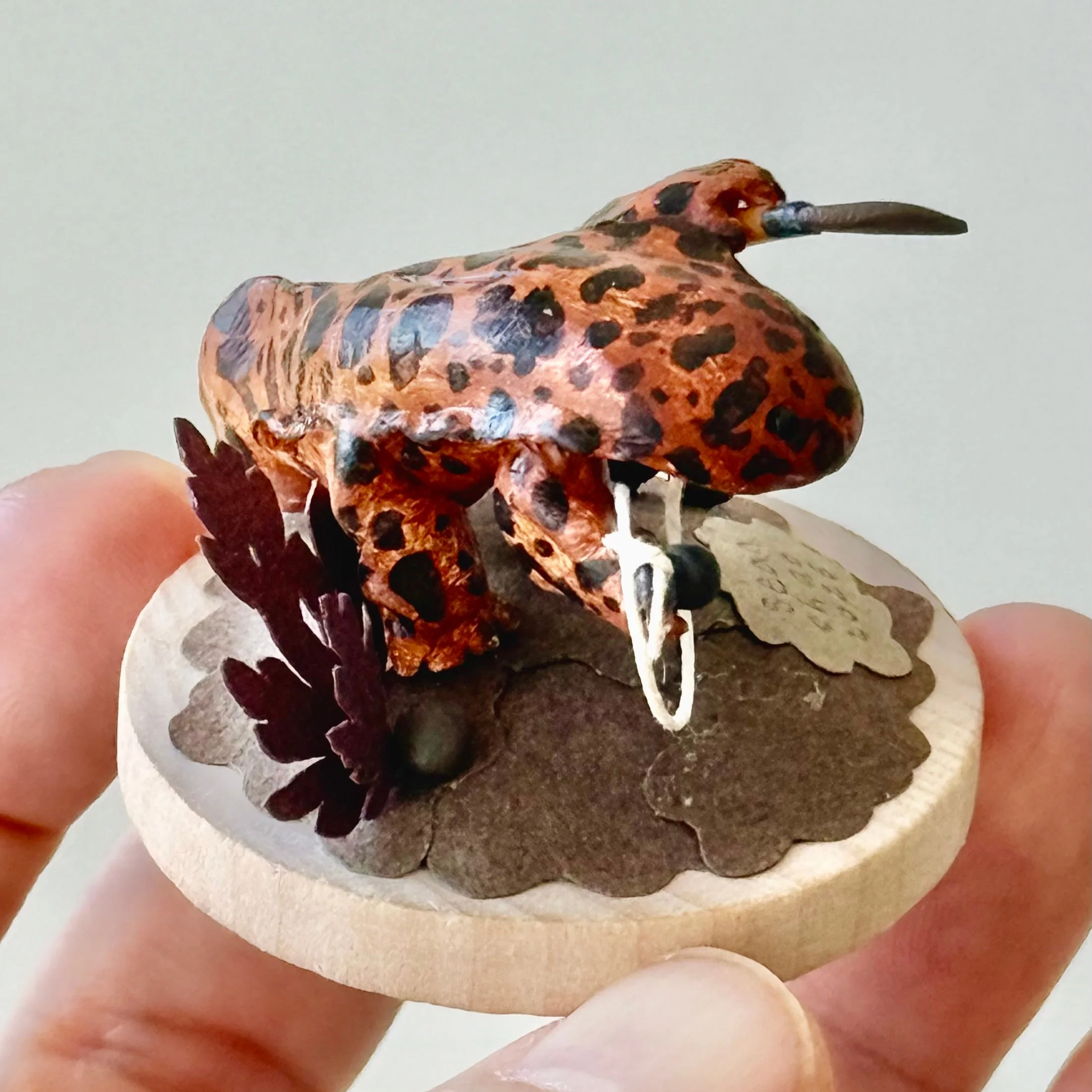 Hello Again - #51 - Sean Chao - "The Deadliest Amphibian (Salamander)" - Image 2