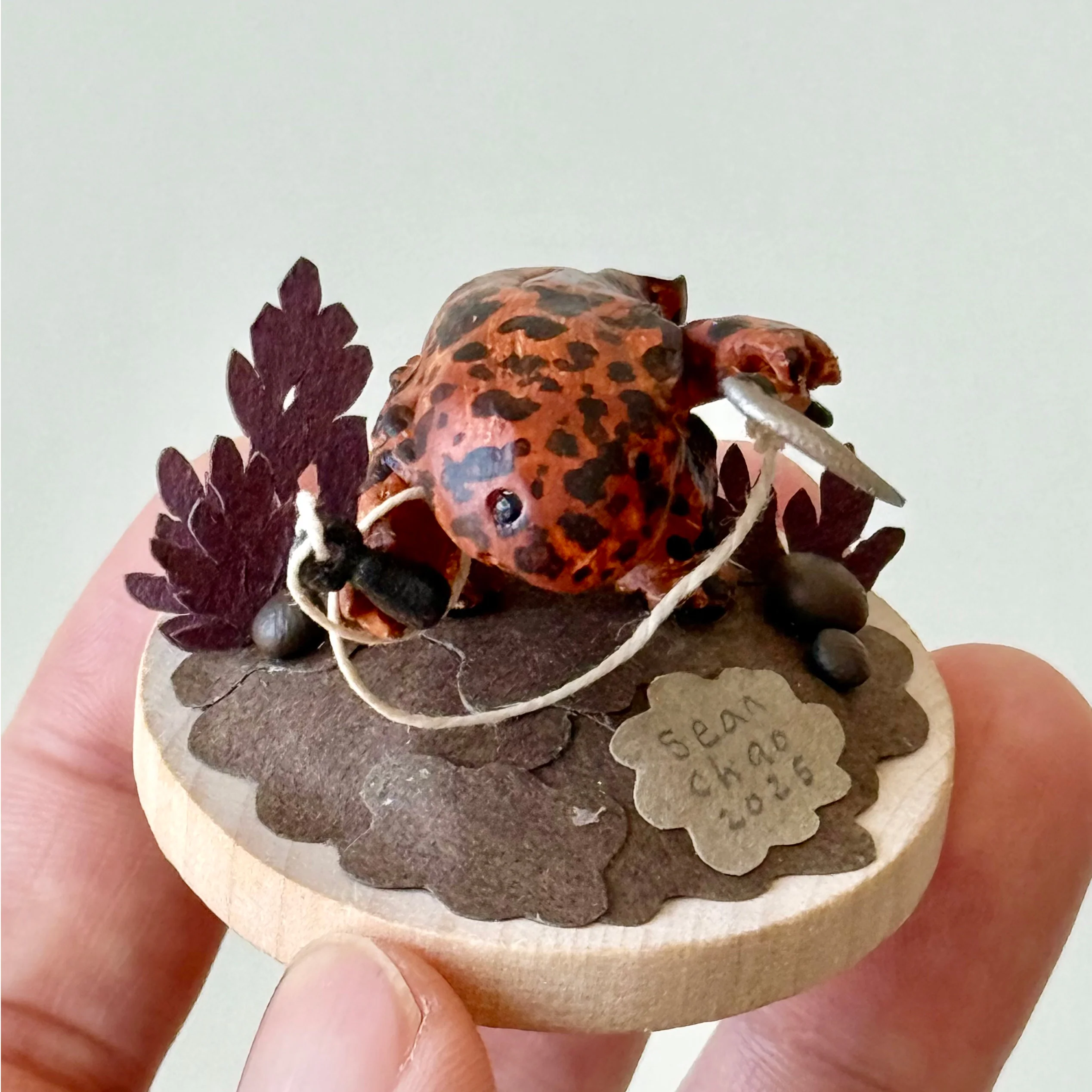 Hello Again - #51 - Sean Chao - "The Deadliest Amphibian (Salamander)" - Image 3
