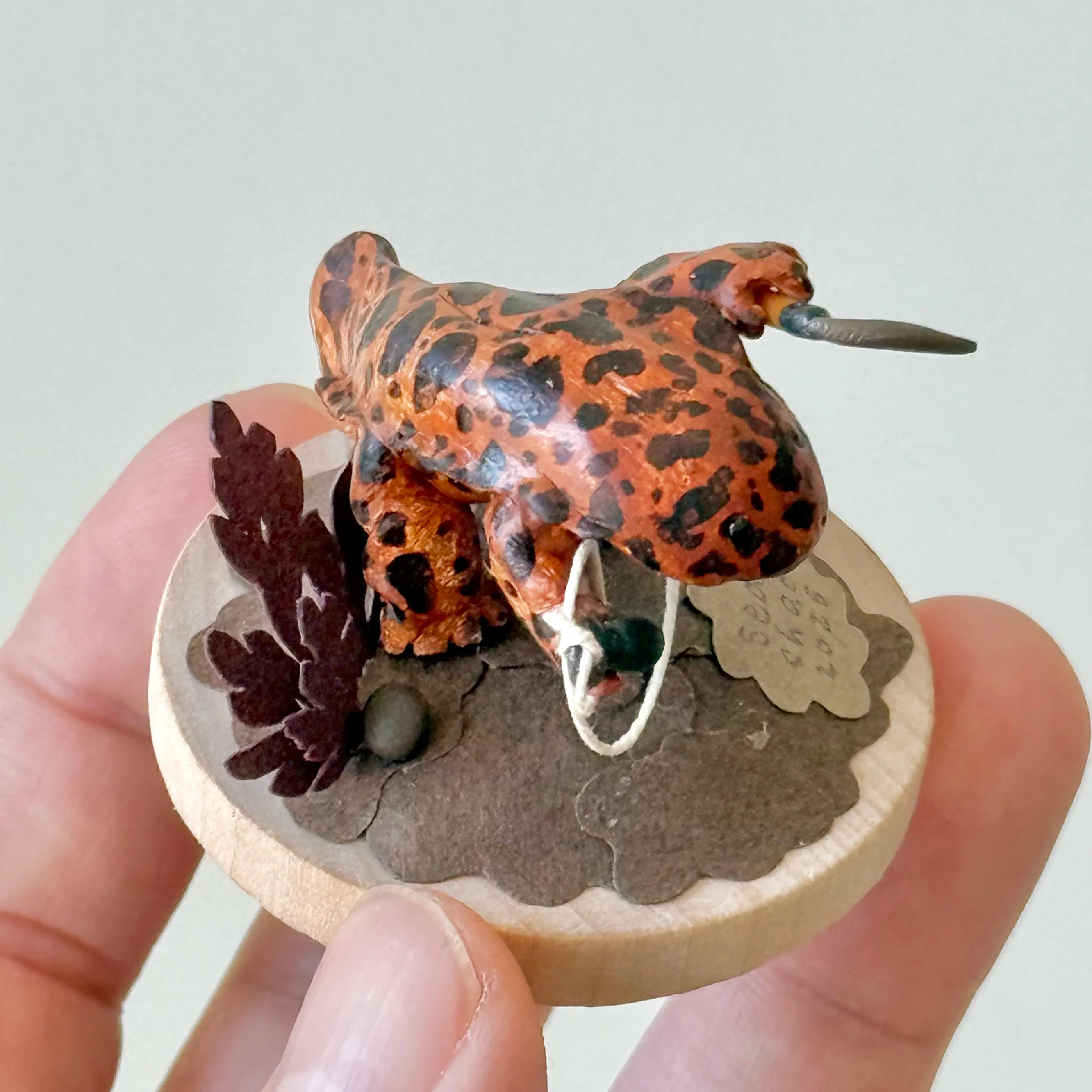 Hello Again - #51 - Sean Chao - "The Deadliest Amphibian (Salamander)" - Image 4
