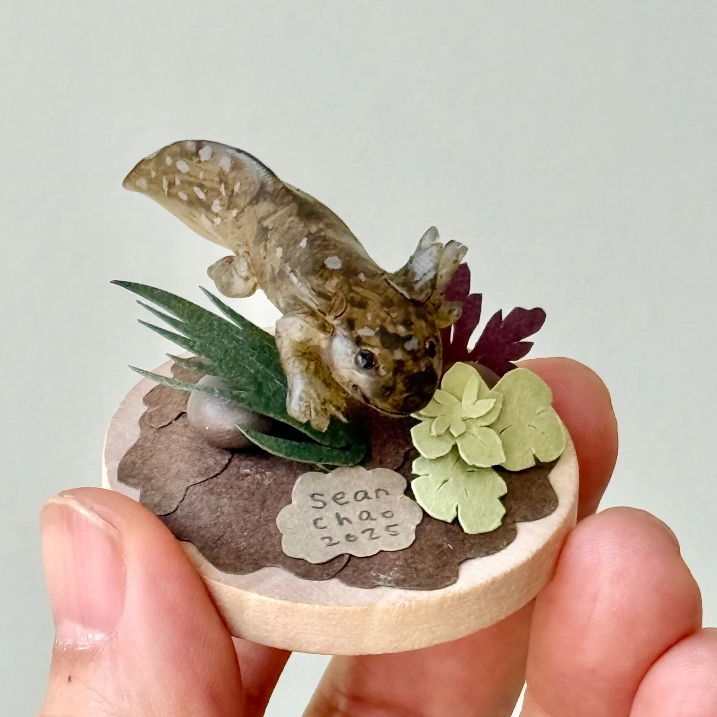 Hello Again - #54 - Sean Chao - "Axolotl 03"