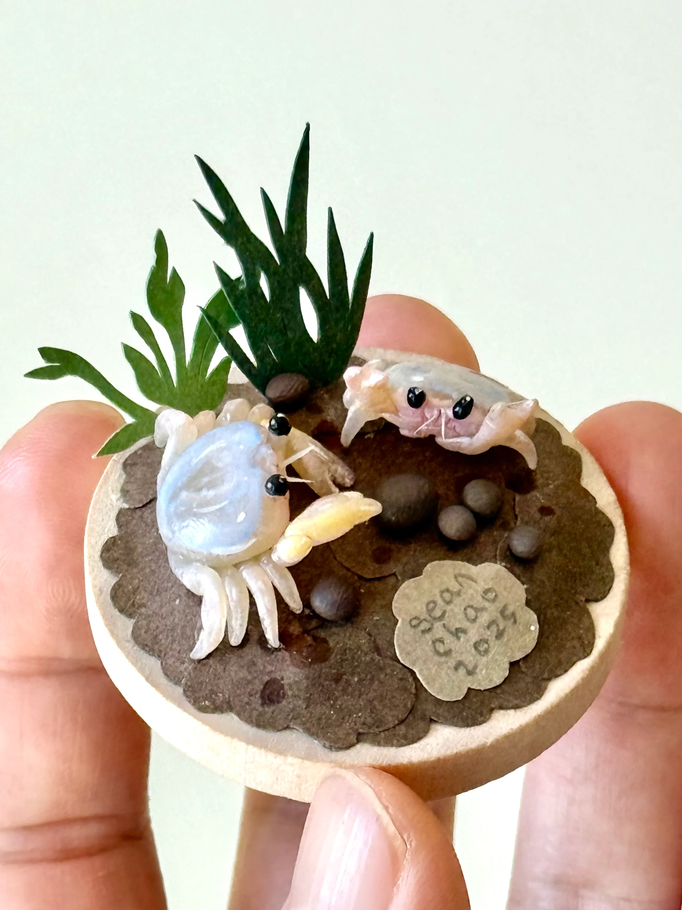 Hello Again - #78 - Sean Chao - "Baby Crab" - Image 2