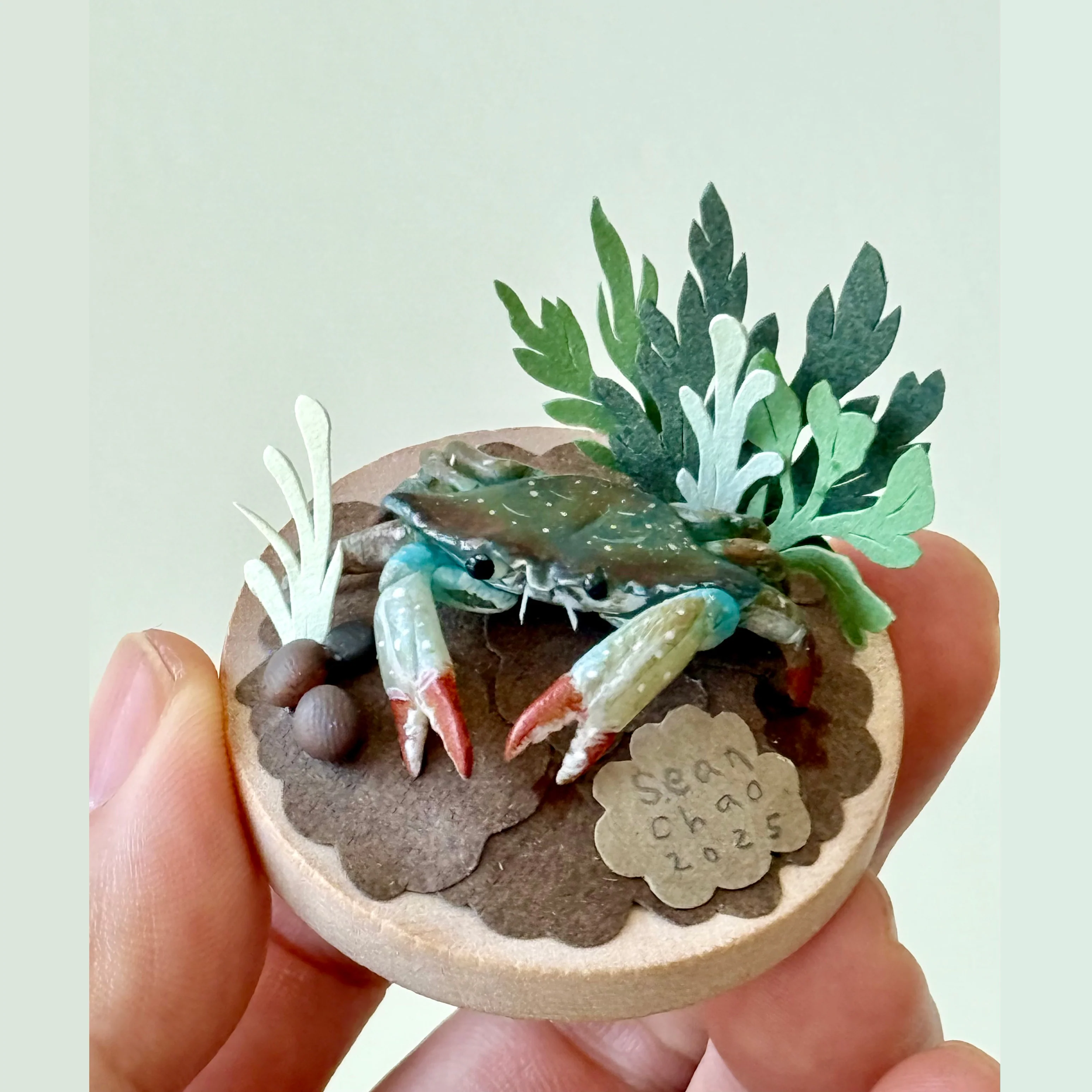 Hello Again - #79 - Sean Chao - "Blue Crab"