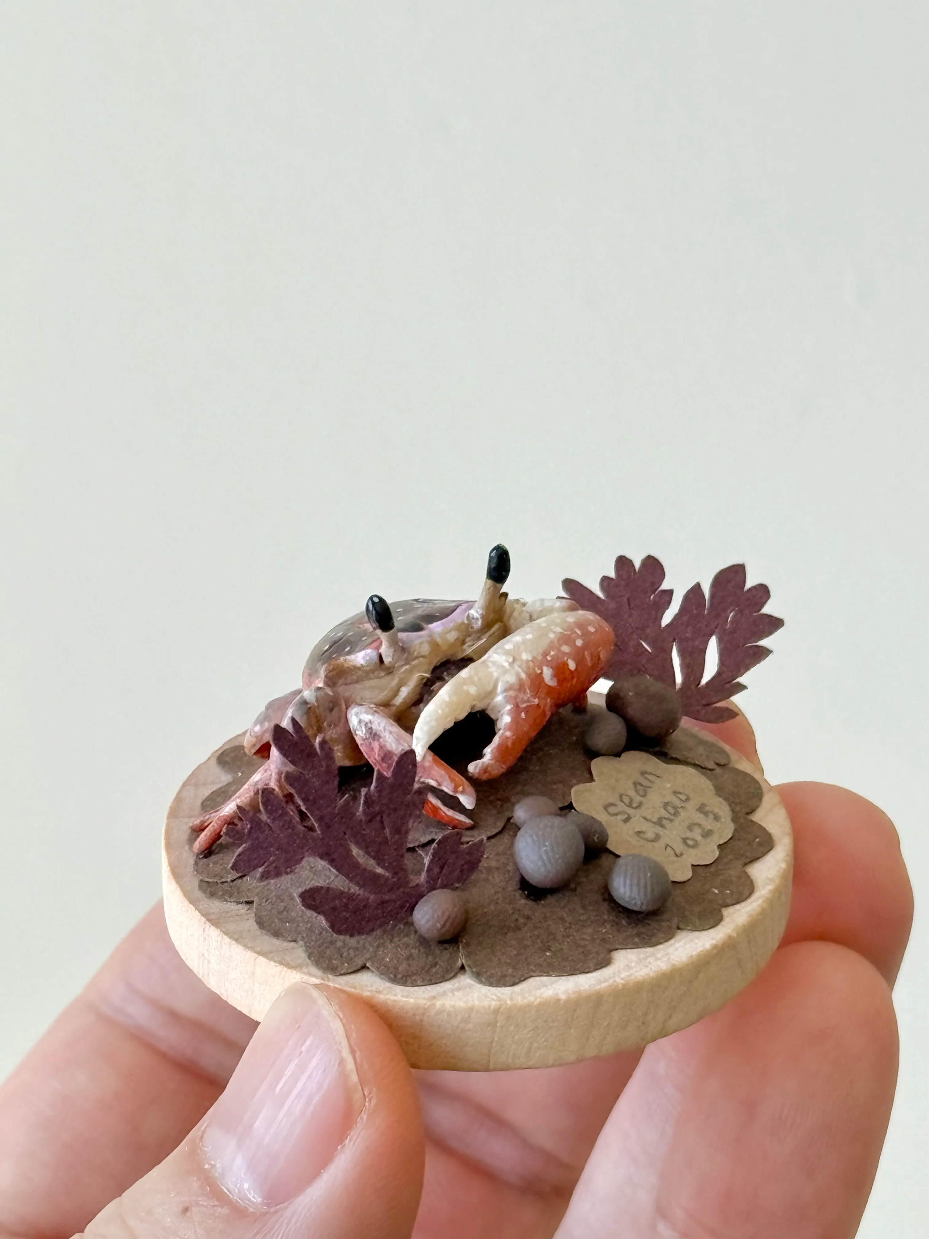Hello Again - #80 - Sean Chao - "Fiddler Crab" - Image 3
