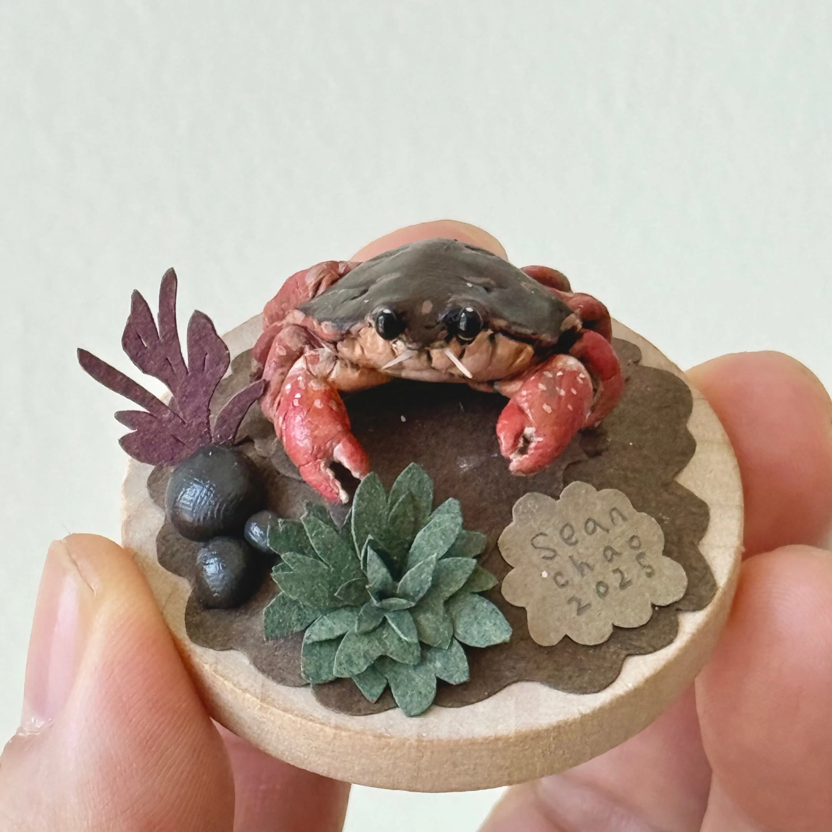 Hello Again - #81 - Sean Chao - "Rock Crab" - Image 2