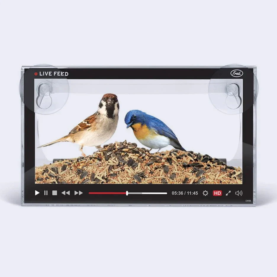 Howligans - Live Feed Bird Feeder - Image 3