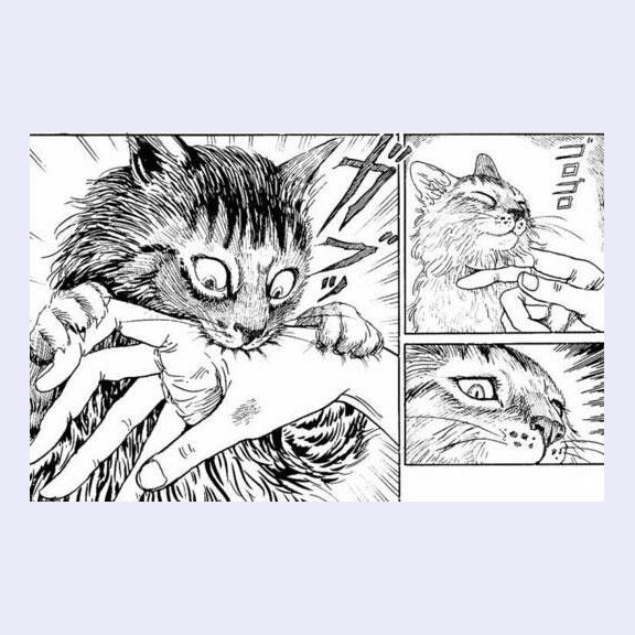 Junji Ito's Cat Diary - Yon & Mu - Image 2