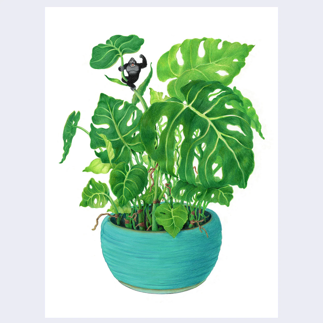 Cassia Lupo - "Monstera Kong" Art Print