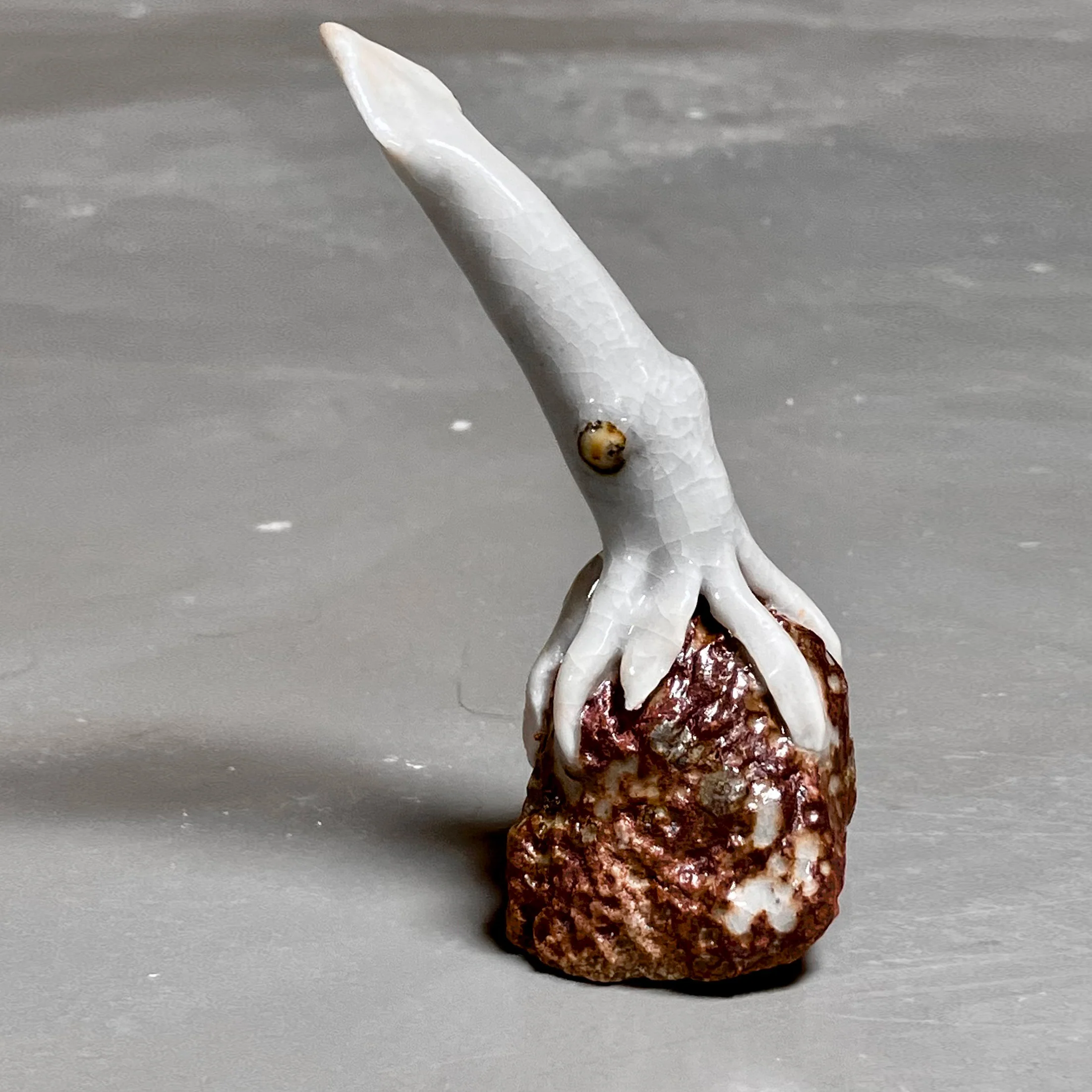 Land and Sea Show 2023 - Lucas Pincer-Flynn - "Moon Squid"