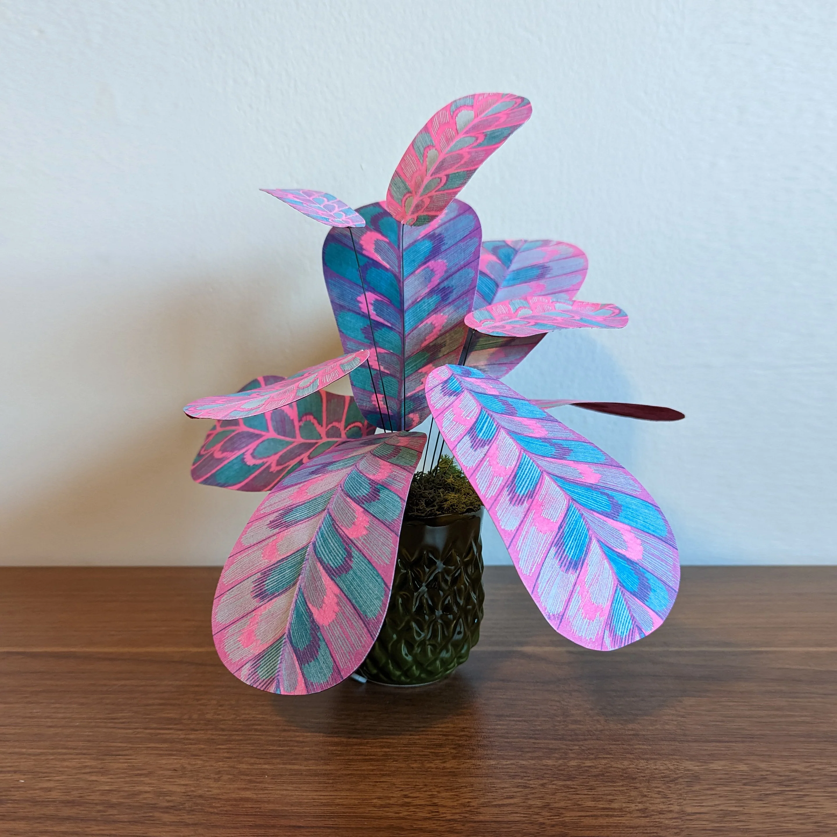 Land and Sea Show 2023 - Schessa Garbutt - "Neverwater var. Dreamhouse (paper plant no. 1)"