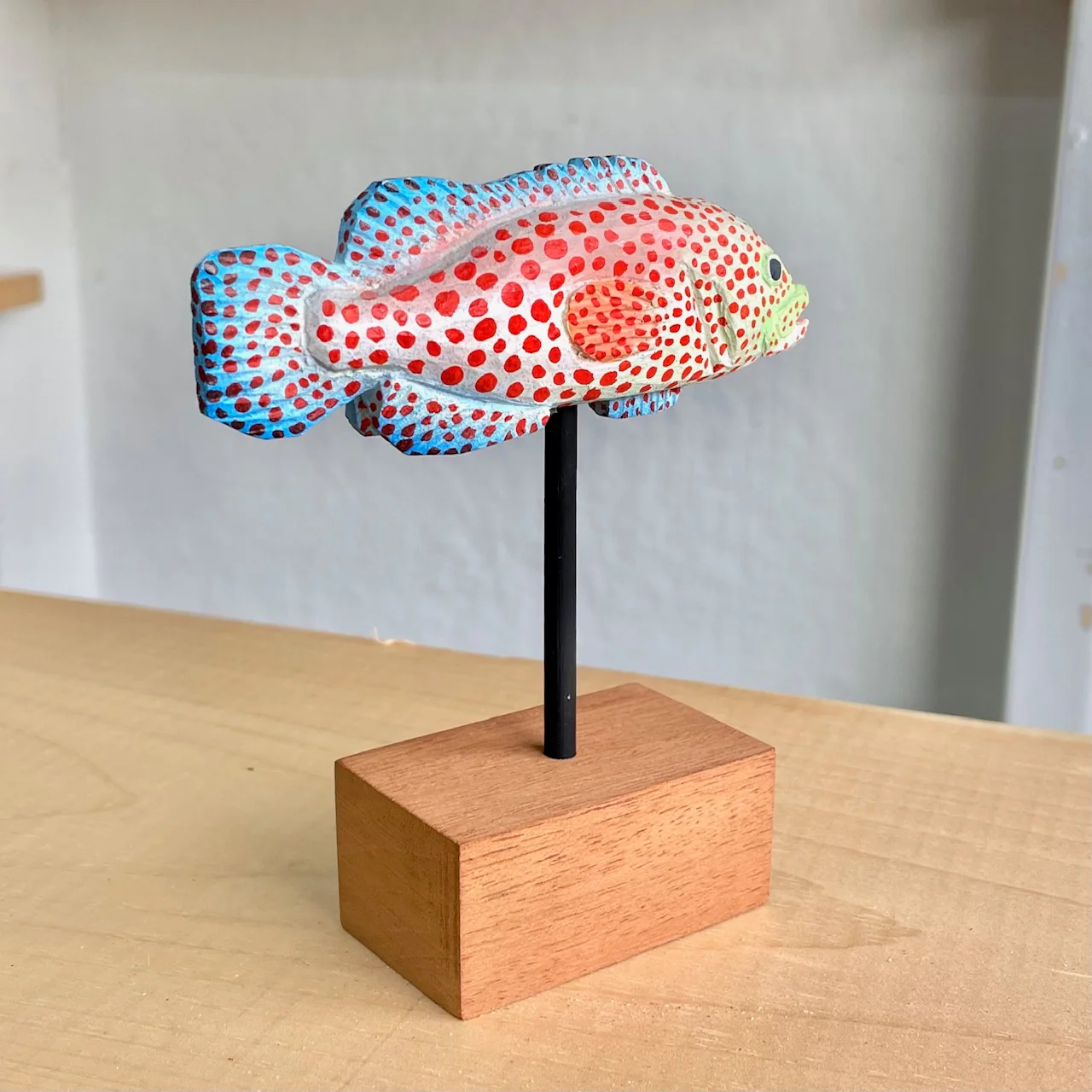 Land and Sea Show 2024 - Jaime Soto - "Spotted Grouper" - Image 4