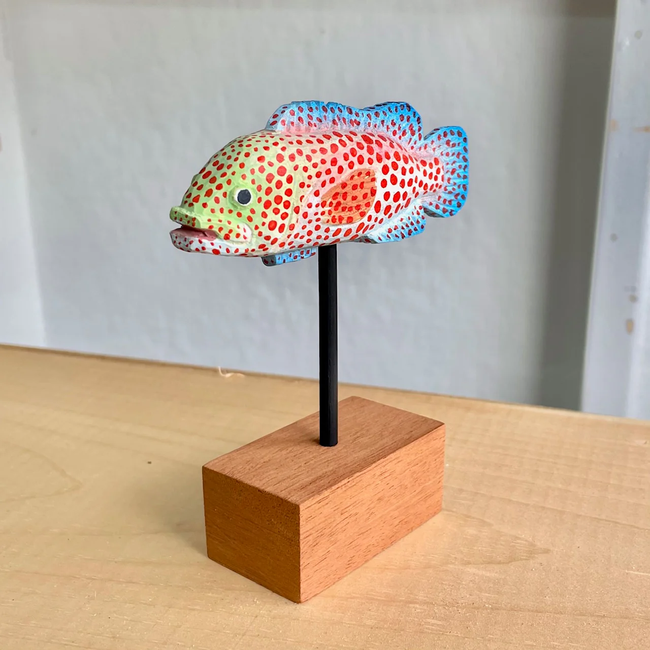 Land and Sea Show 2024 - Jaime Soto - "Spotted Grouper" - Image 5
