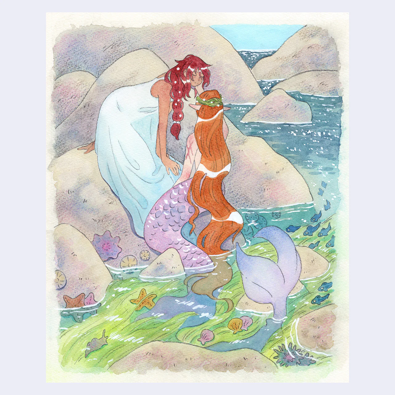 Land & Sea Show 2025 - Saefern - "Our Special Cove"