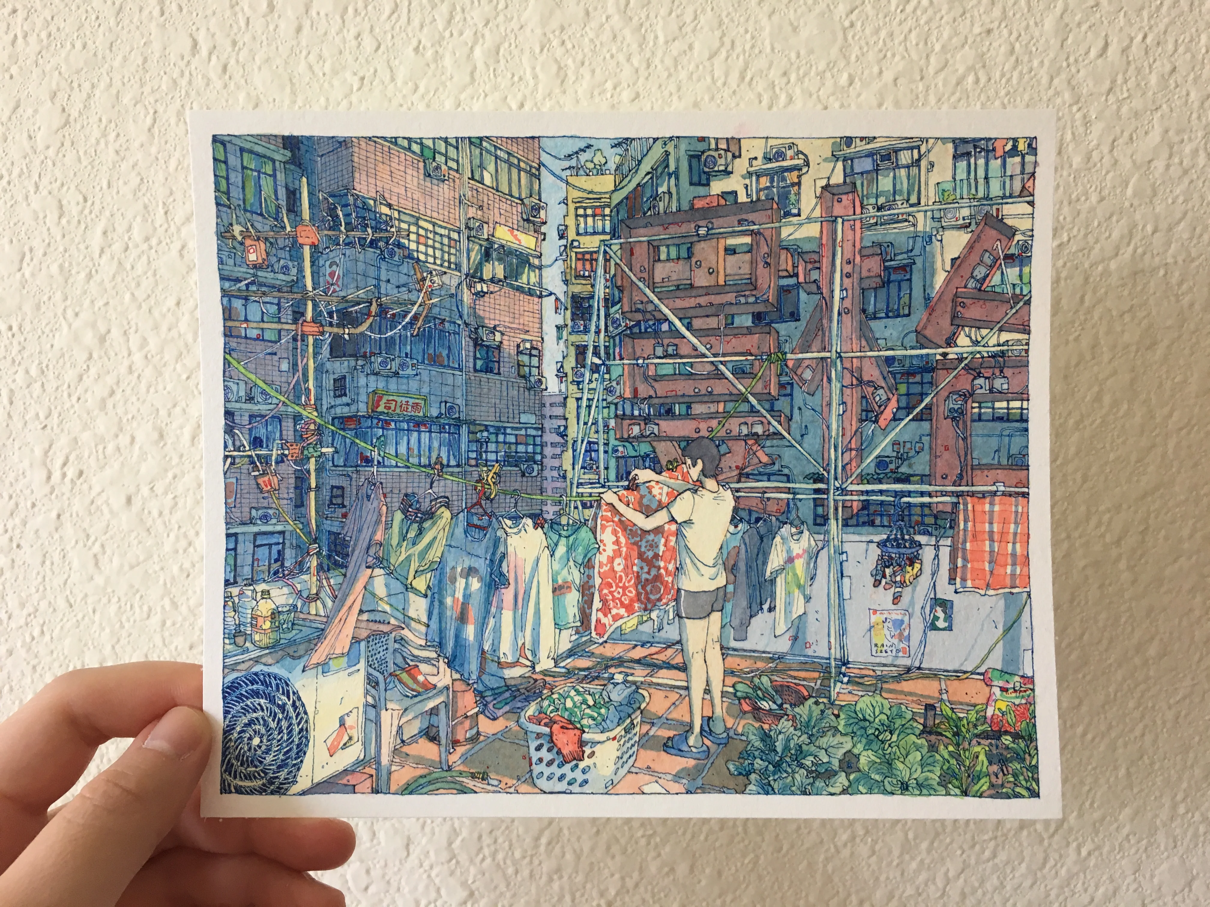 Line of Sight - Rain Szeto - "Sunday Laundry" - Image 2