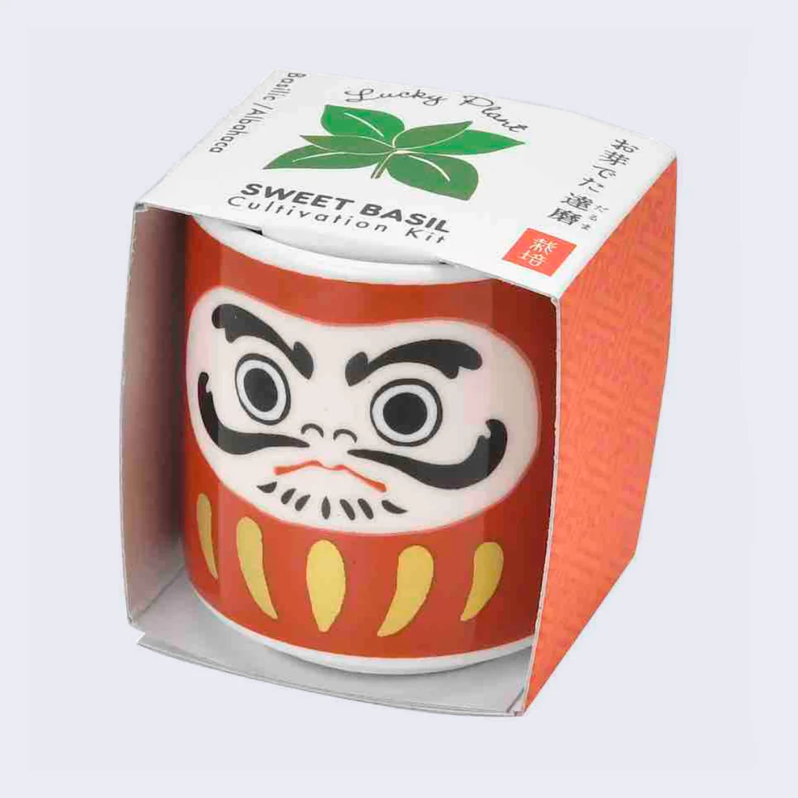 Lucky Plant - Daruma (Sweet Basil)