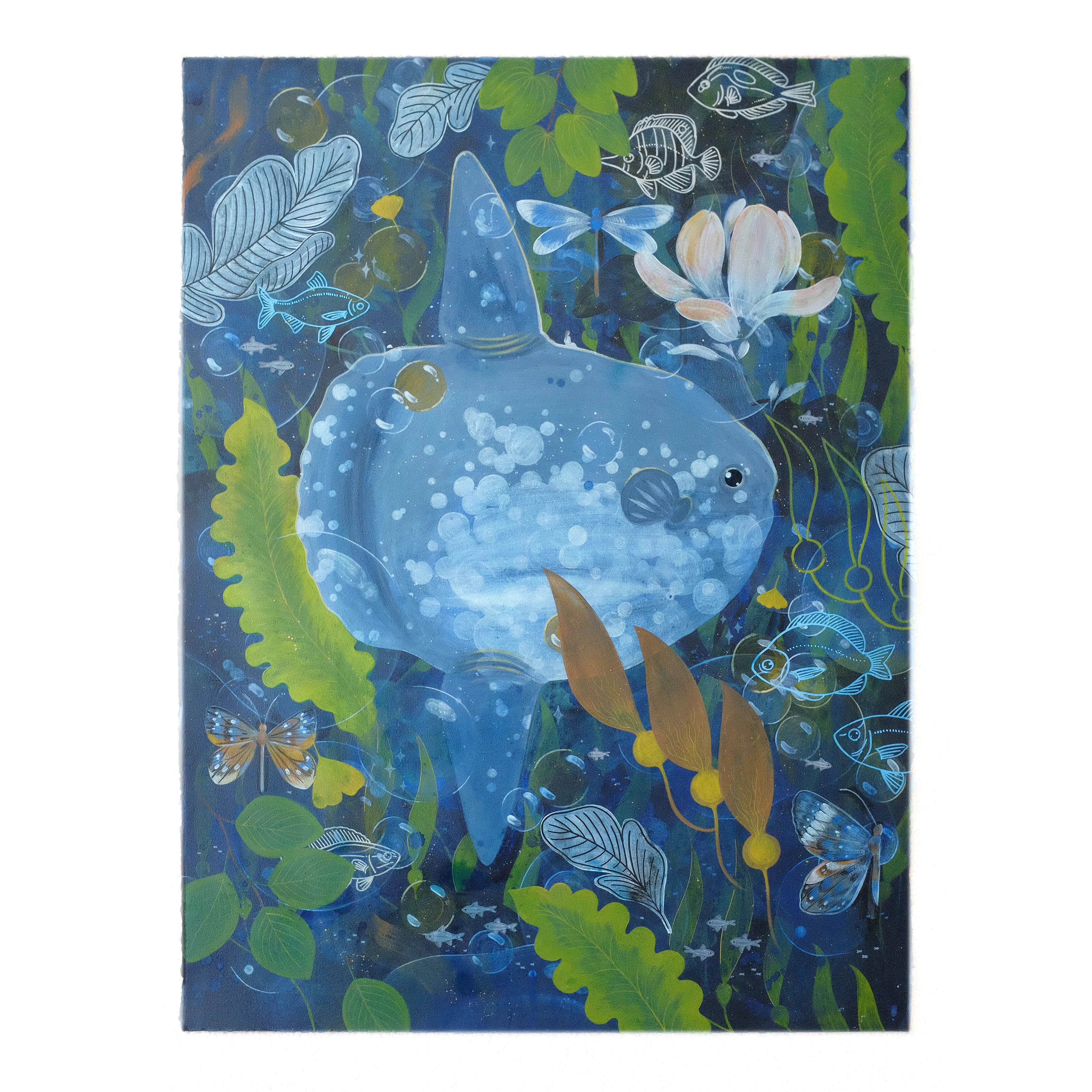 Maggie Chiang - Daydreamer - #02 - "Sunfish Dreams"
