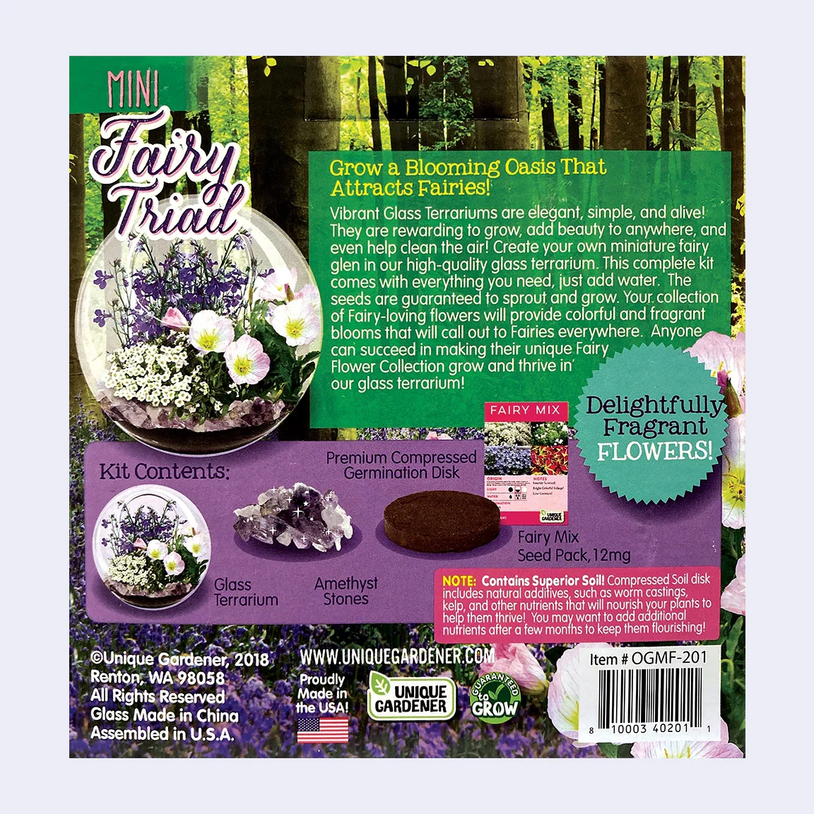 Mini Fairy Triad - Glass Terrarium Kit - Image 3