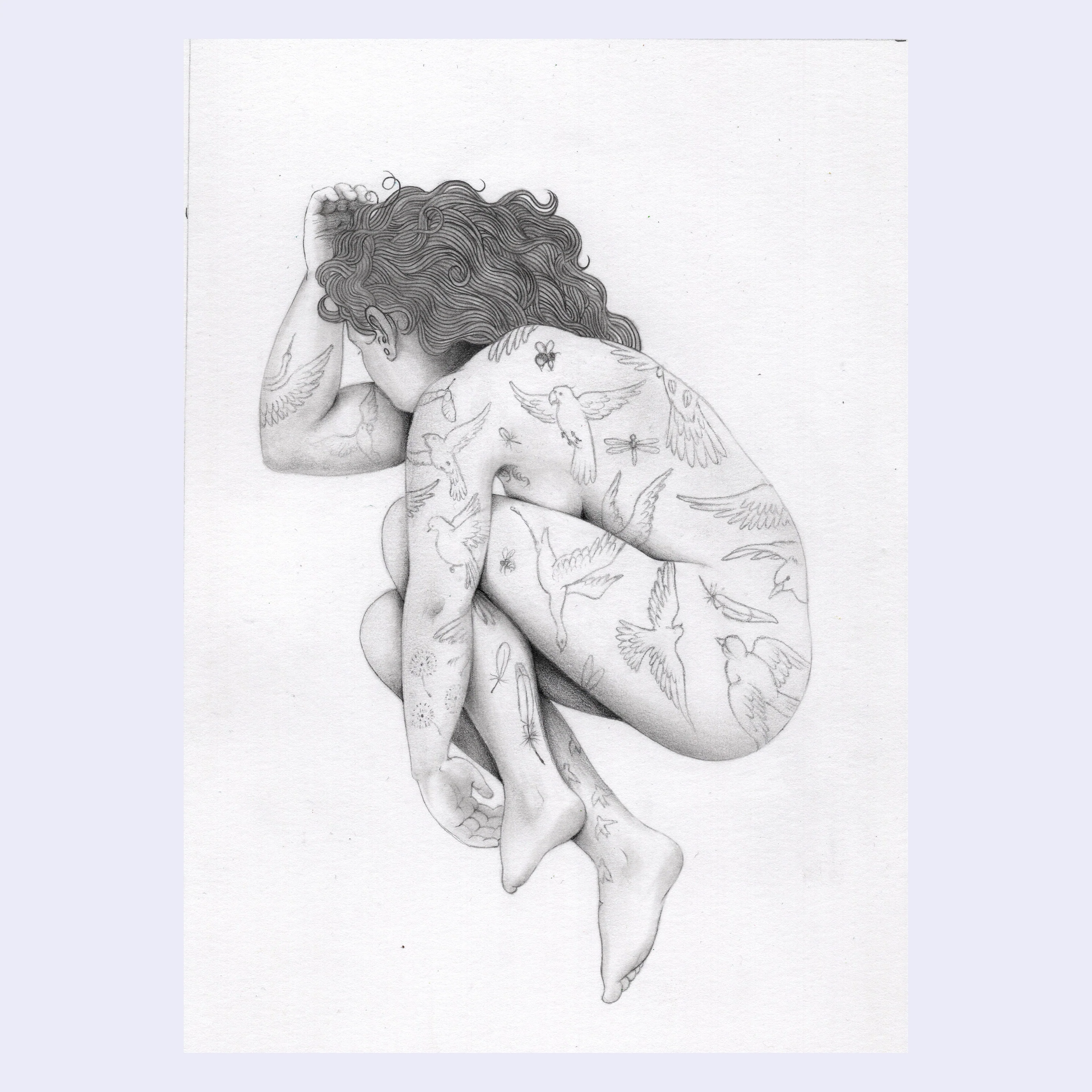 Cassia Lupo - "Fauna" (Print)