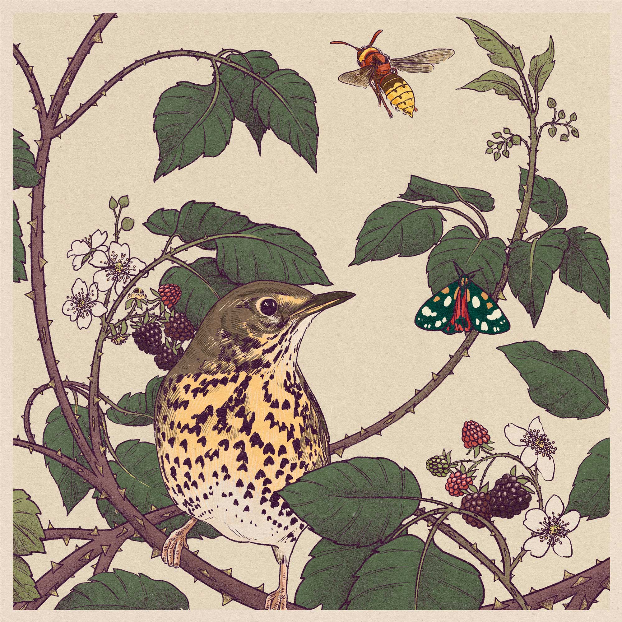 Mintea Challenge - Little Moon Boy - "Through the Thicket" Triptych - Image 3