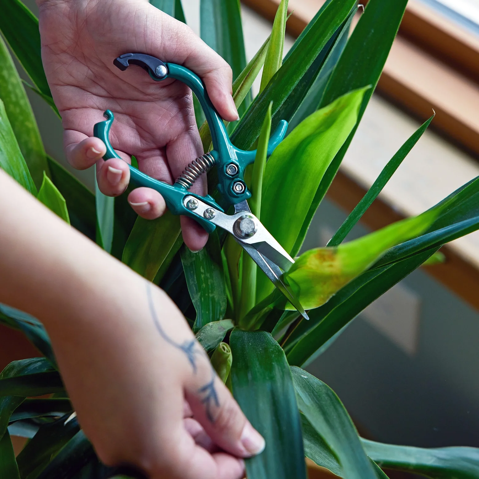 Modern Sprout Garden Shears (Assorted) - Image 4