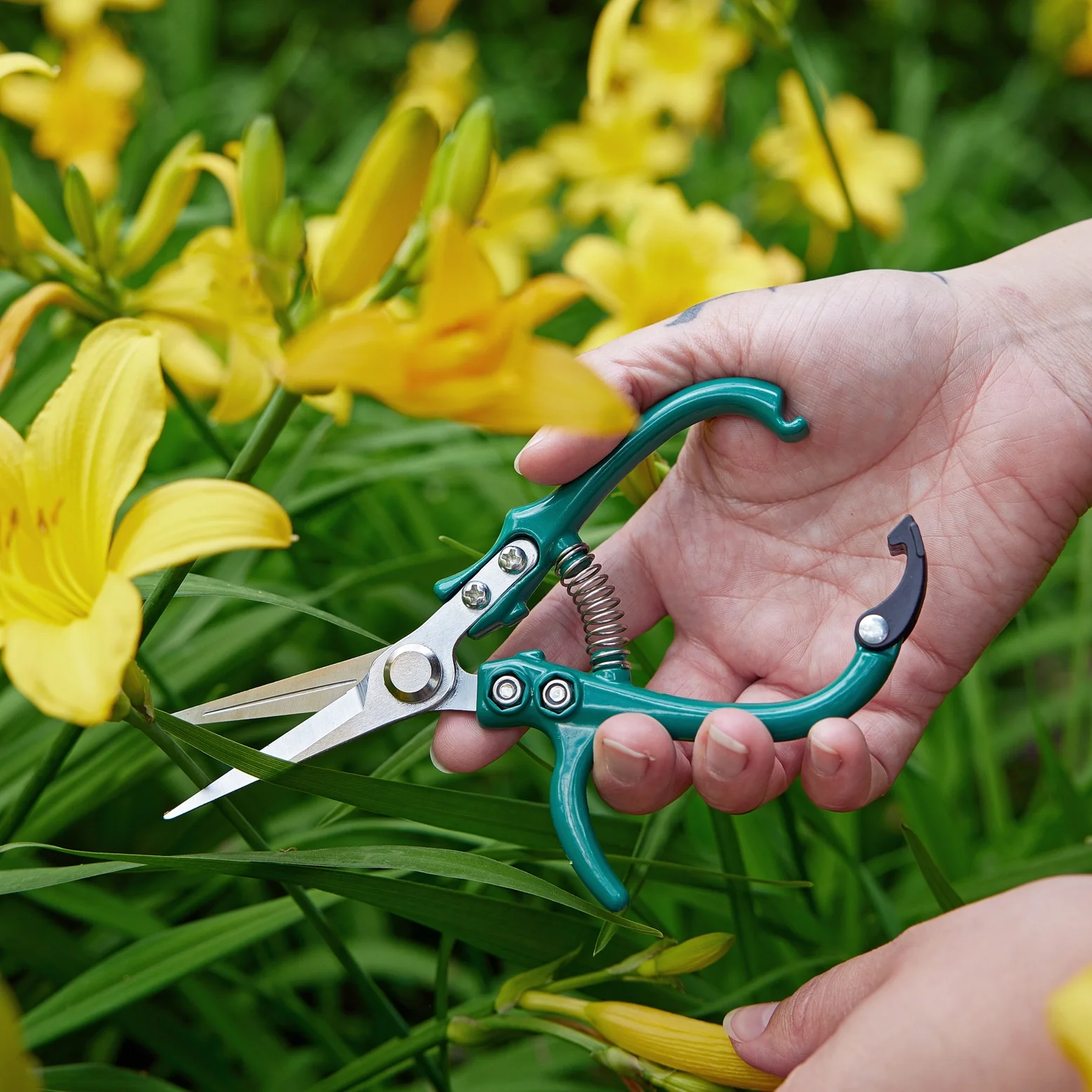 Modern Sprout Garden Shears (Assorted) - Image 5