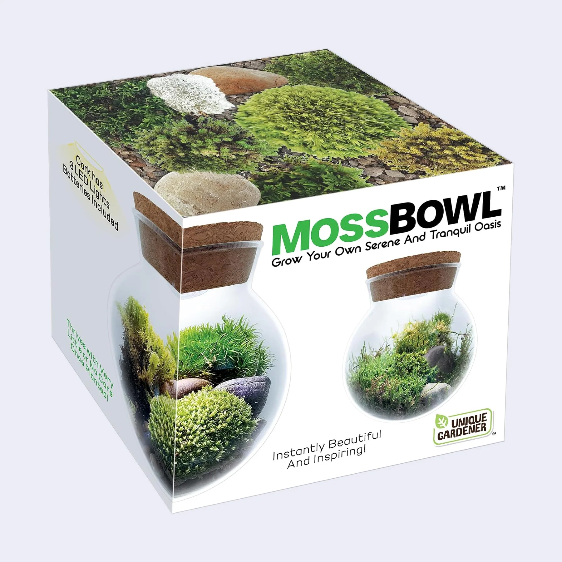 Moss Bowl - Glass Terrarium Aquascape Kit