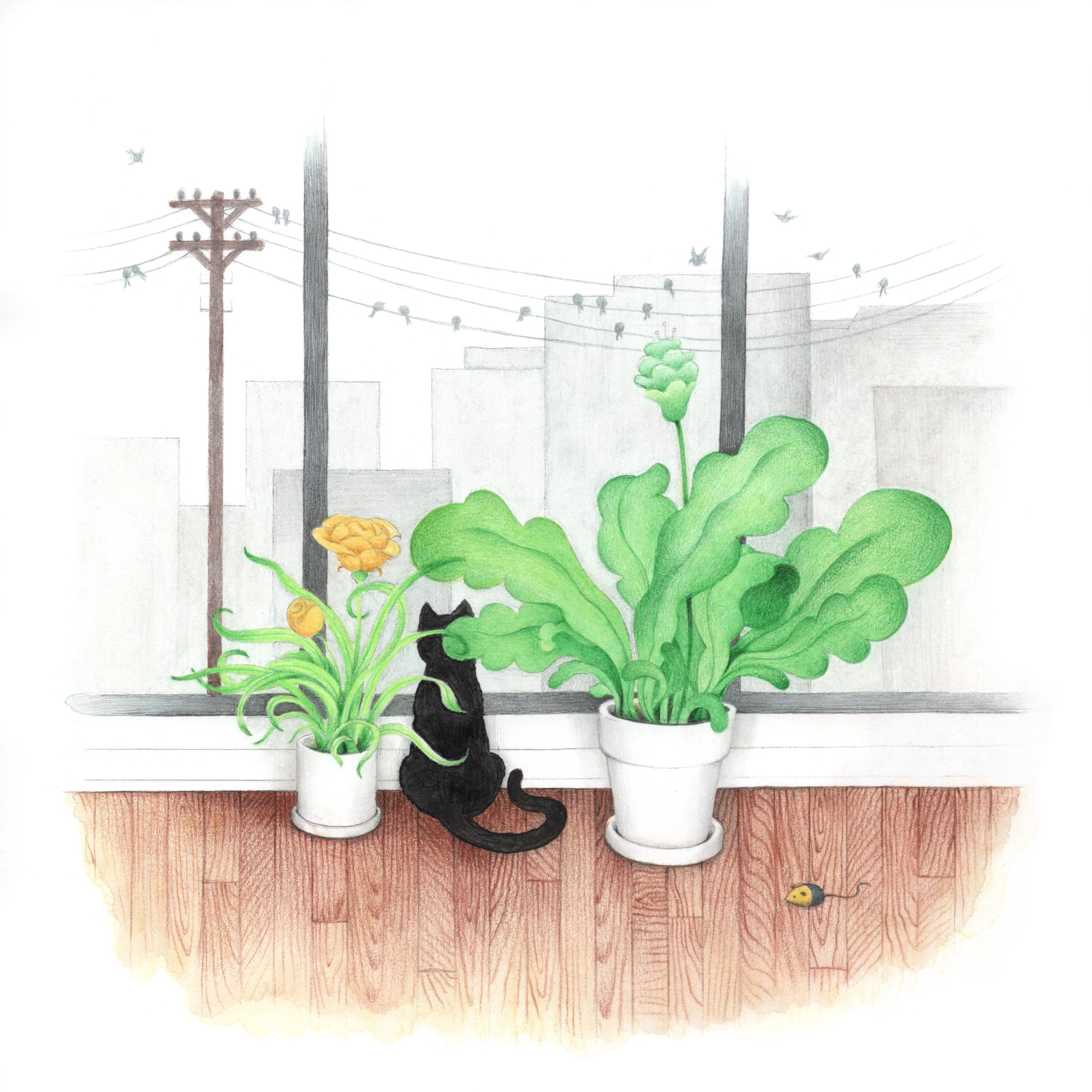 Cassia Lupo - "Window Cat" Art Print