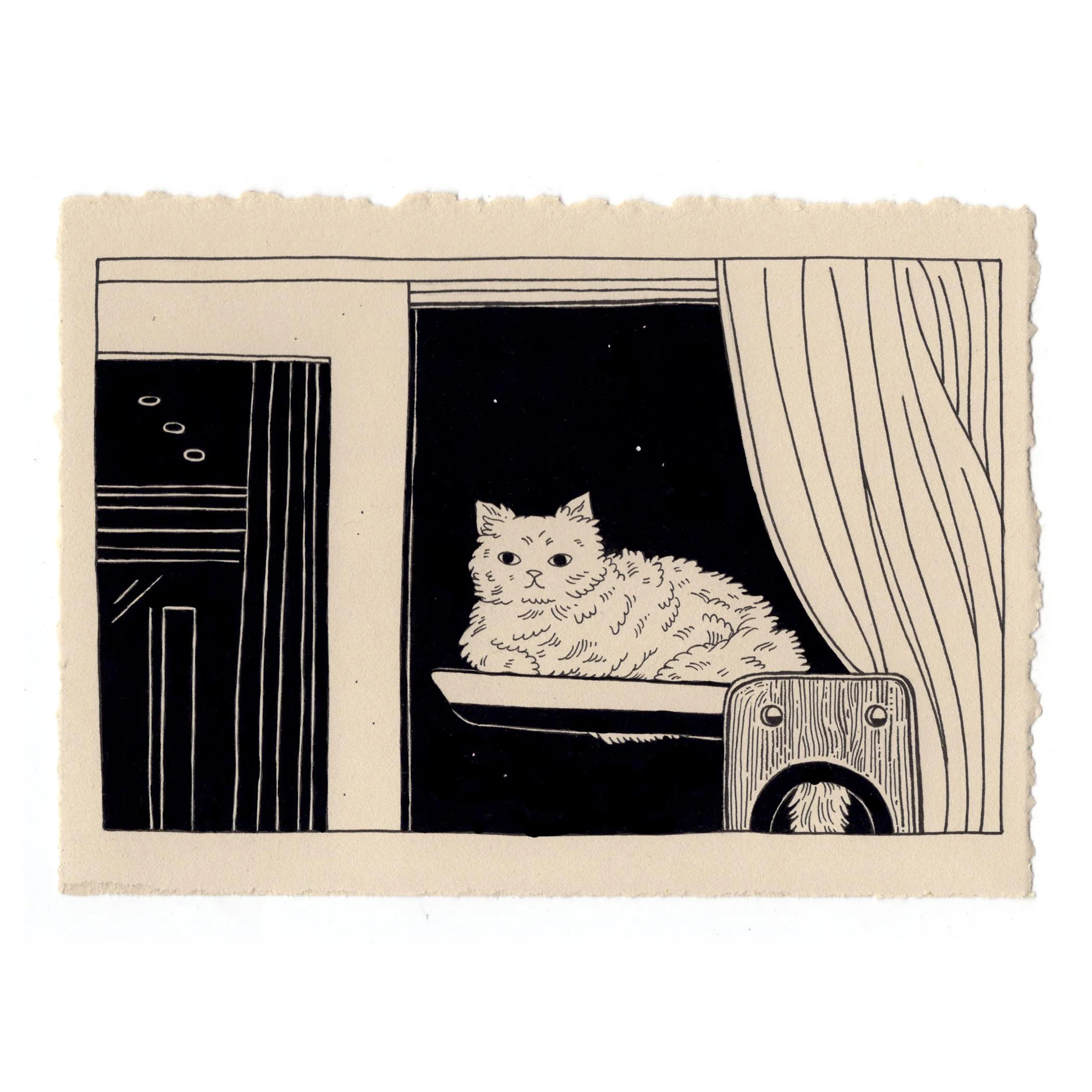 Chromatic Reverb - #45 - Kaylynn Kim - "Window Cat"