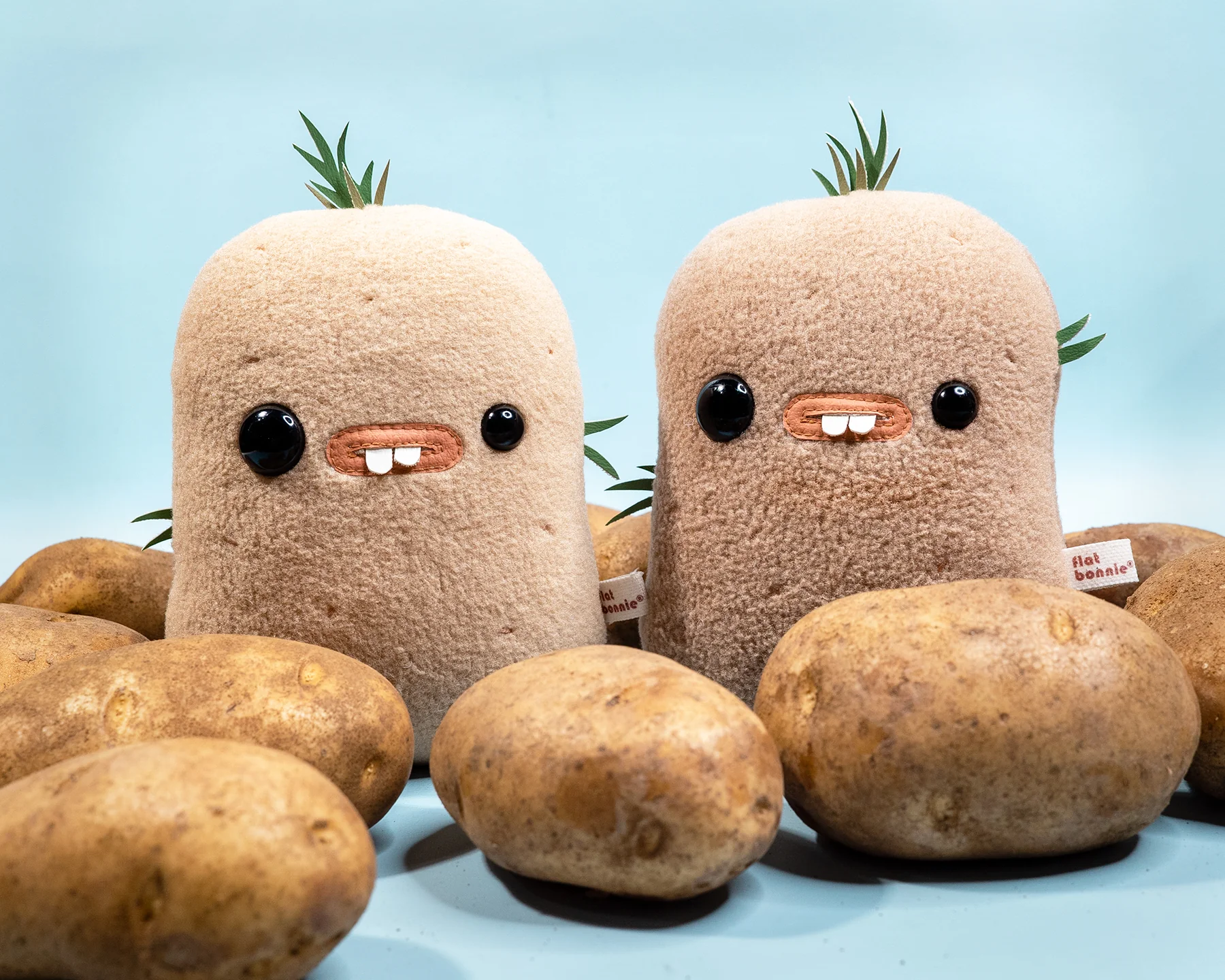 Plants and Flowers Show - Flat Bonnie - "Po’ & Tato - Tato (Lighter Color)" - Image 2