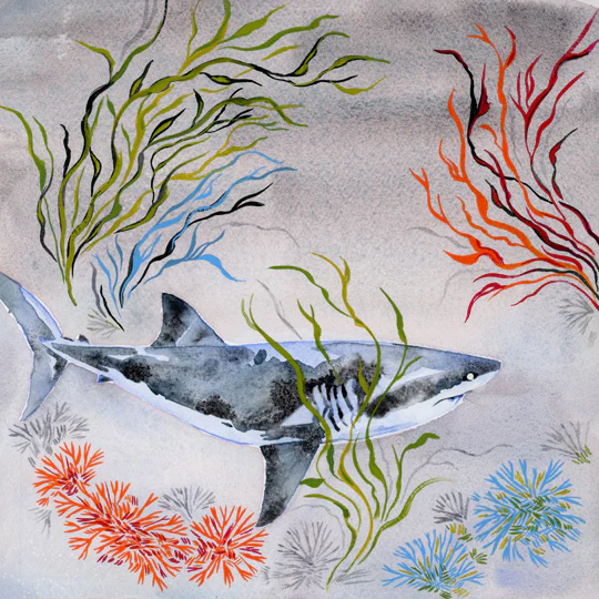 Plants and Flowers Show - Sarah Pinner - “Hiding in the Weeds”